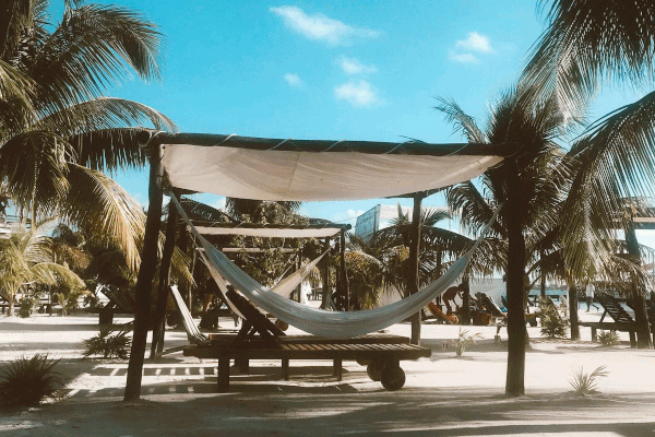 deVivre February Concierge Calendar: Get Out!