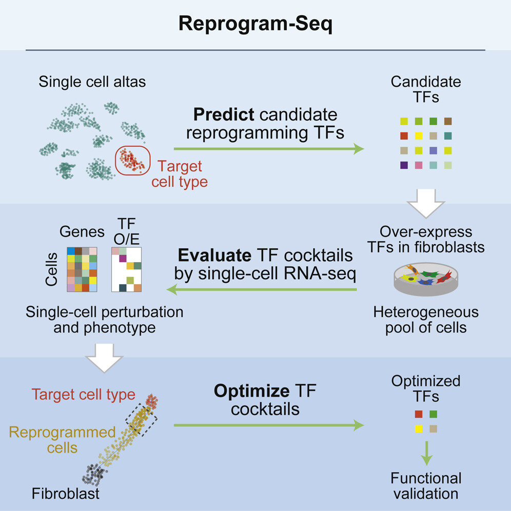 Reprogram-Seq.jpg