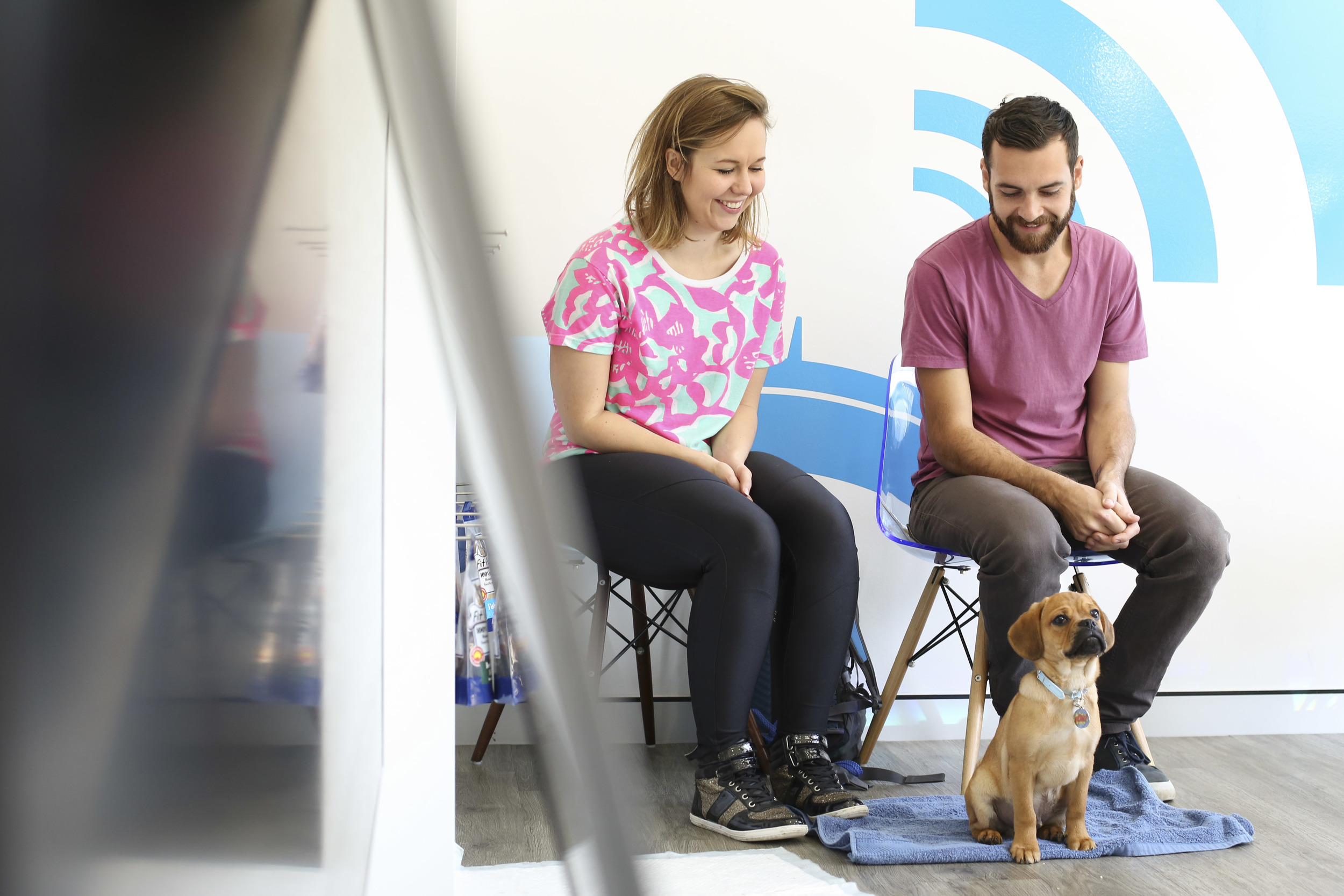 Puppy School-25.jpg