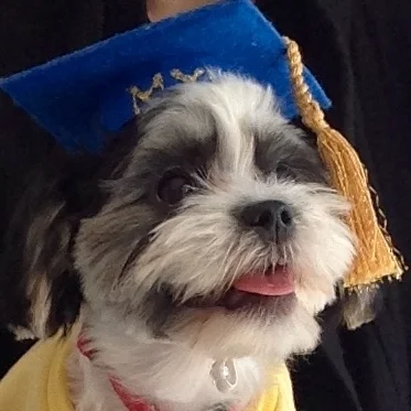 Puppy Pre School Graduate.jpg