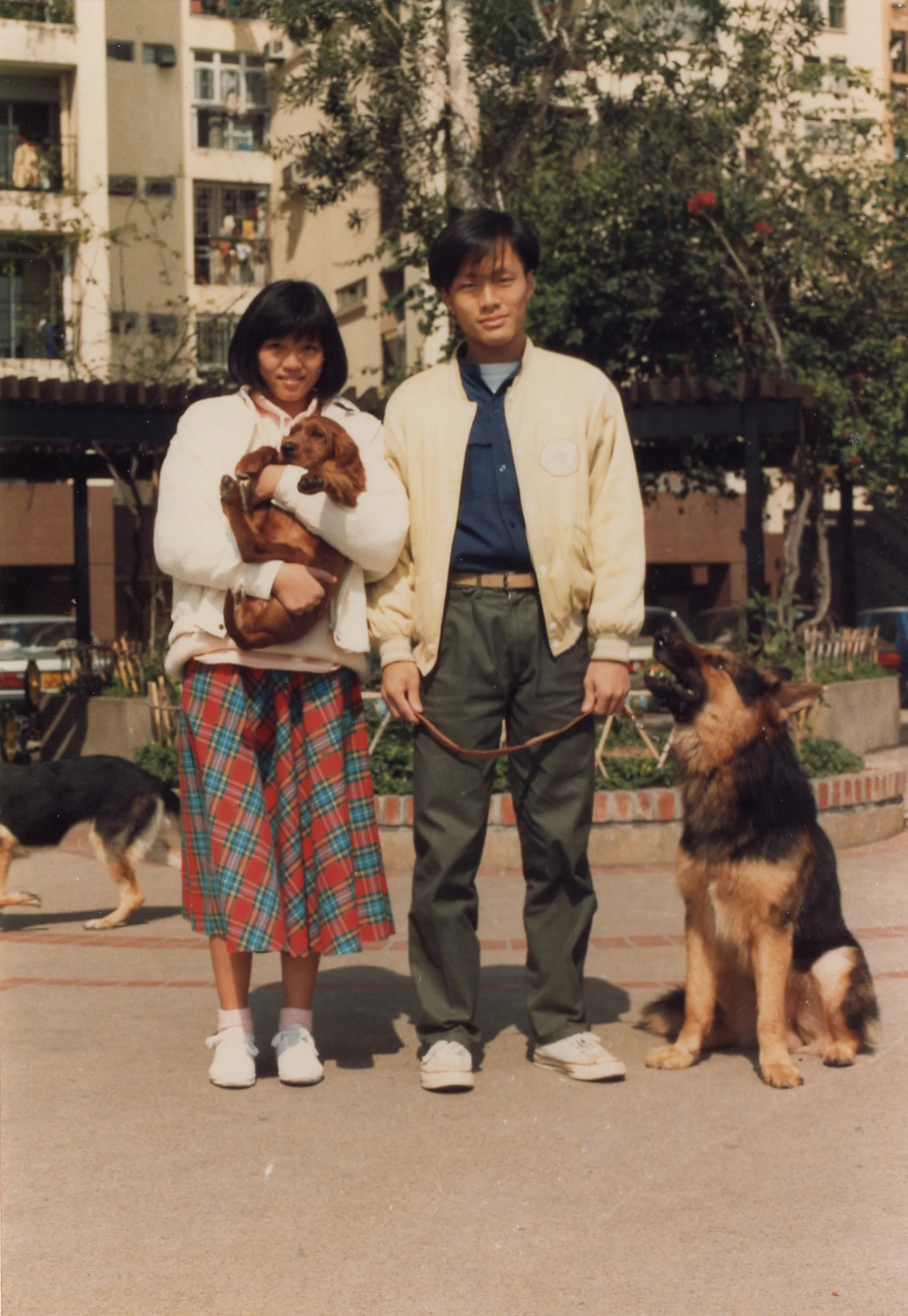 mom and dad walking dogs.jpg