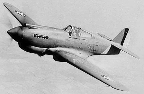 I couldn't find and verify any pictures of a 37th Pursuit Group P-40, so here's just a basic picture of a P-40 to give you an idea of what it was like. The guns located in the nose indicate that this is a very early variant. Most of the variants used in WWII had 4-6 .50 caliber guns in the wings instead.