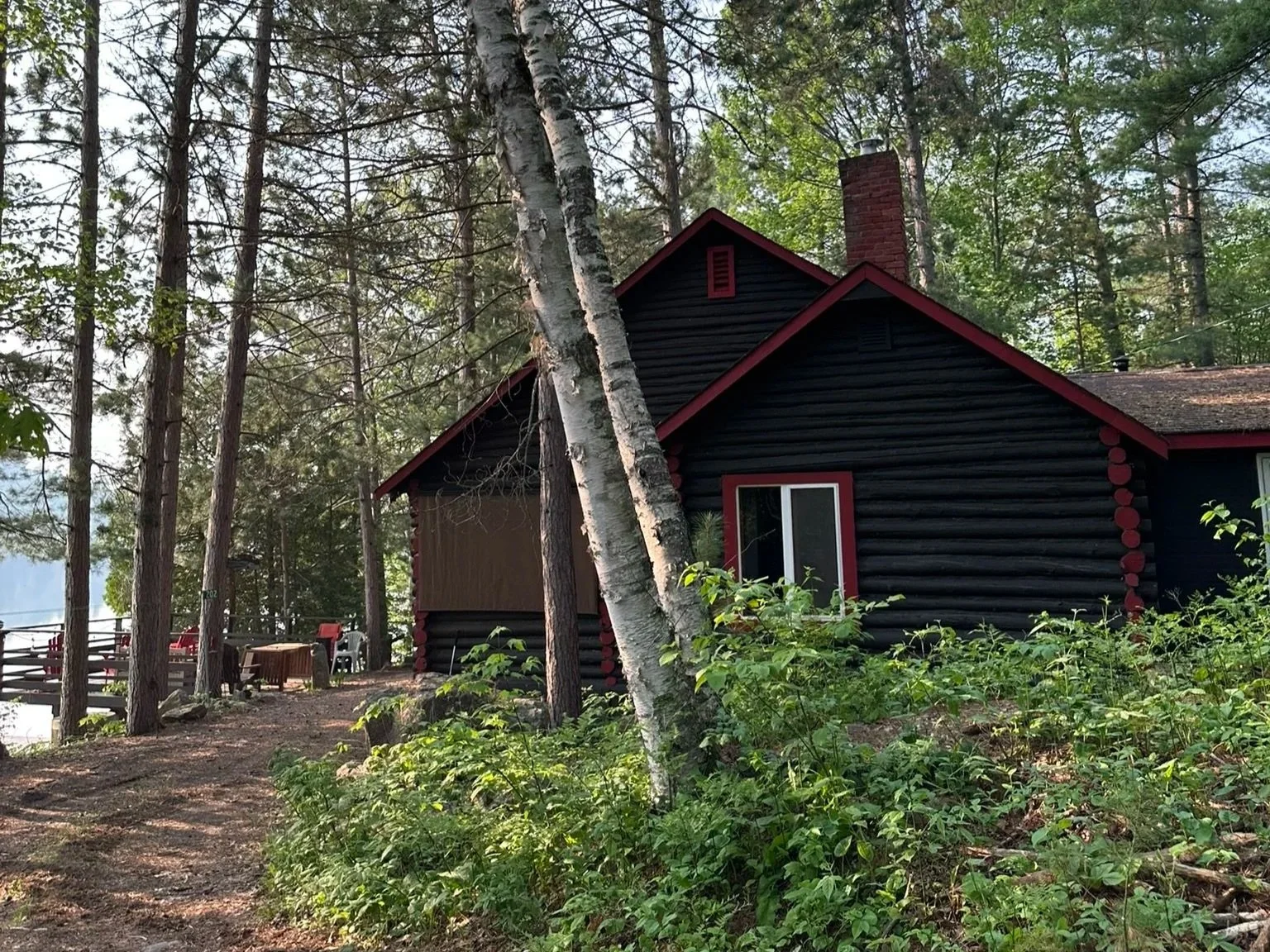 A black house with red trim in a wooded area, surrounded by trees and greenery.
