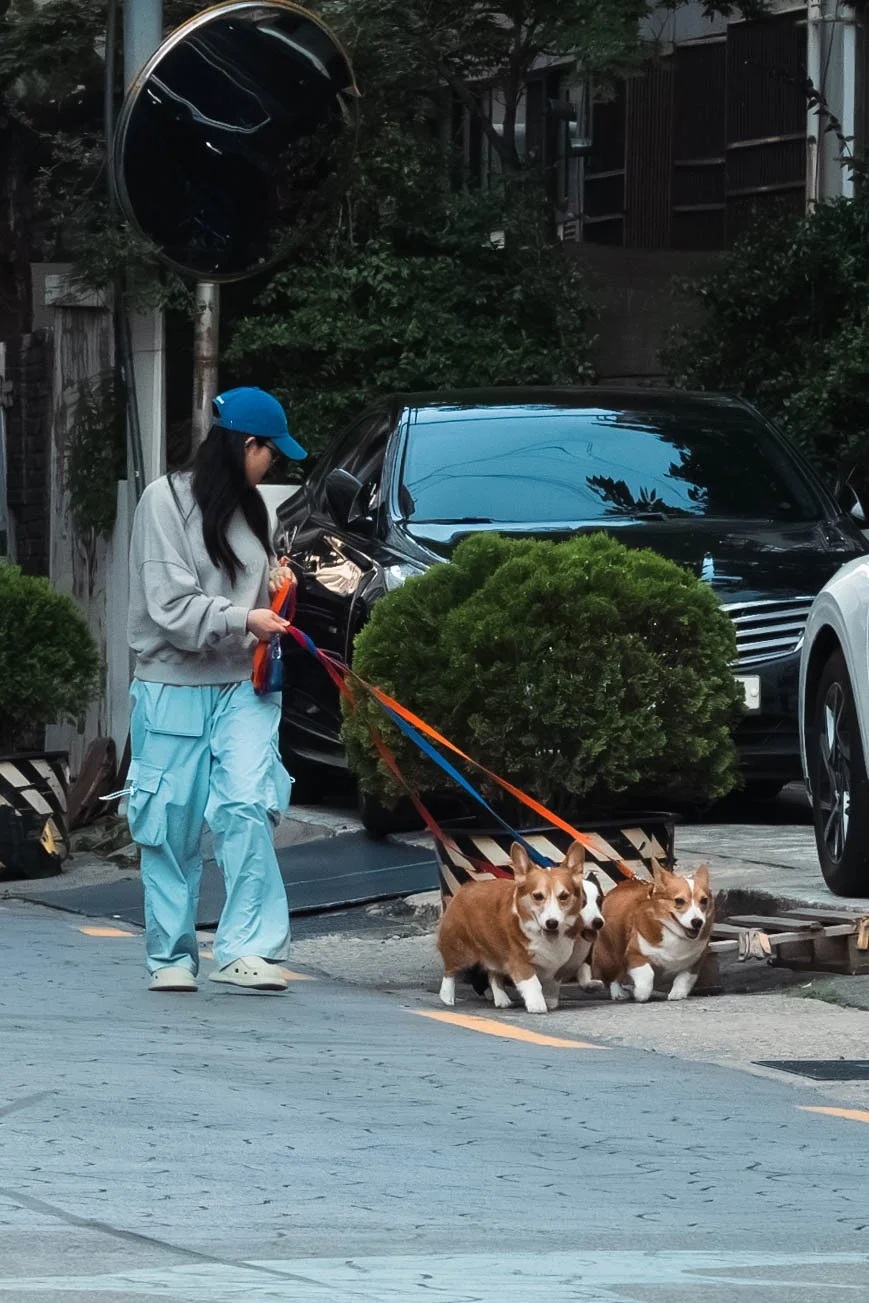 Busan-17.jpg