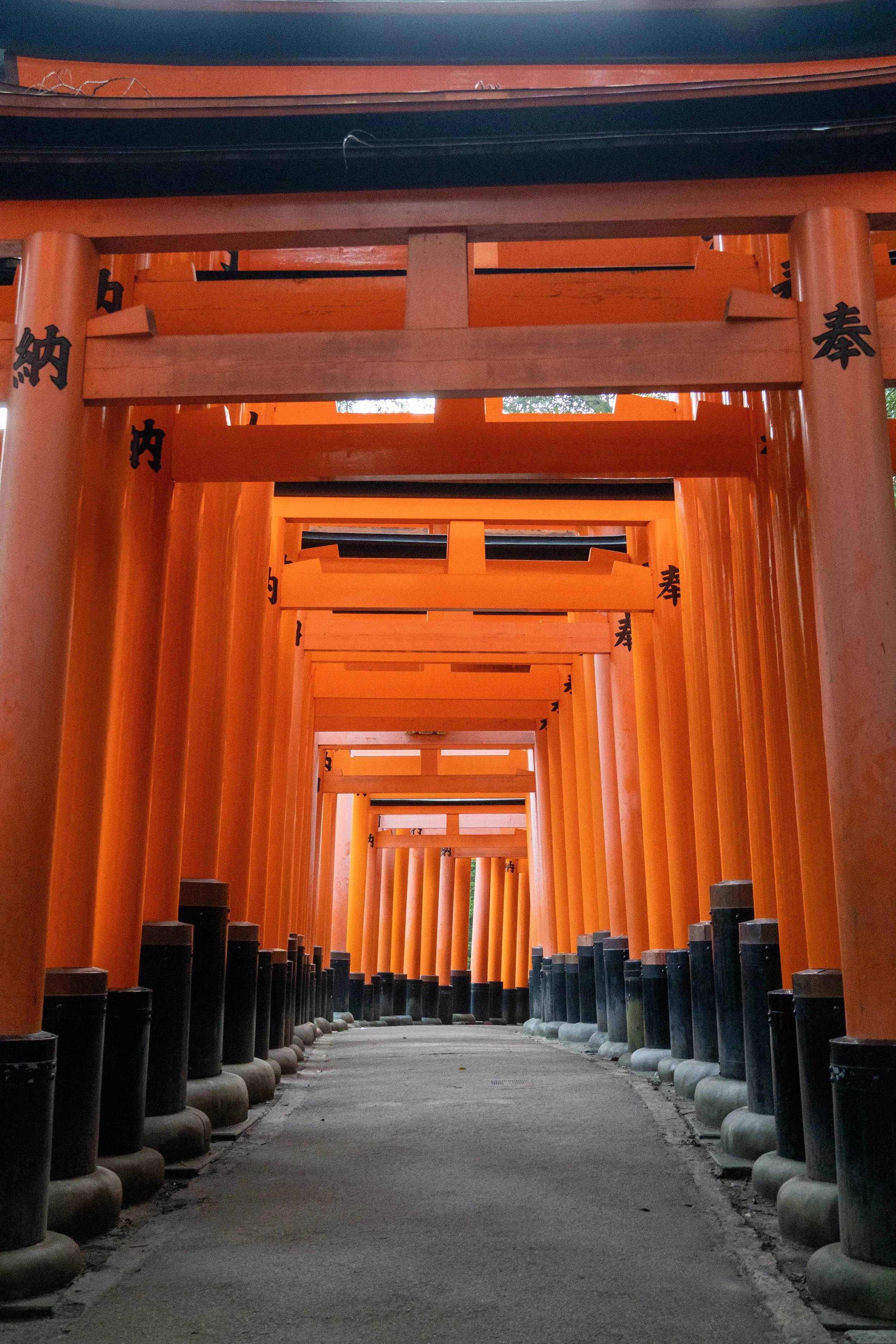 Japan23-127.jpg