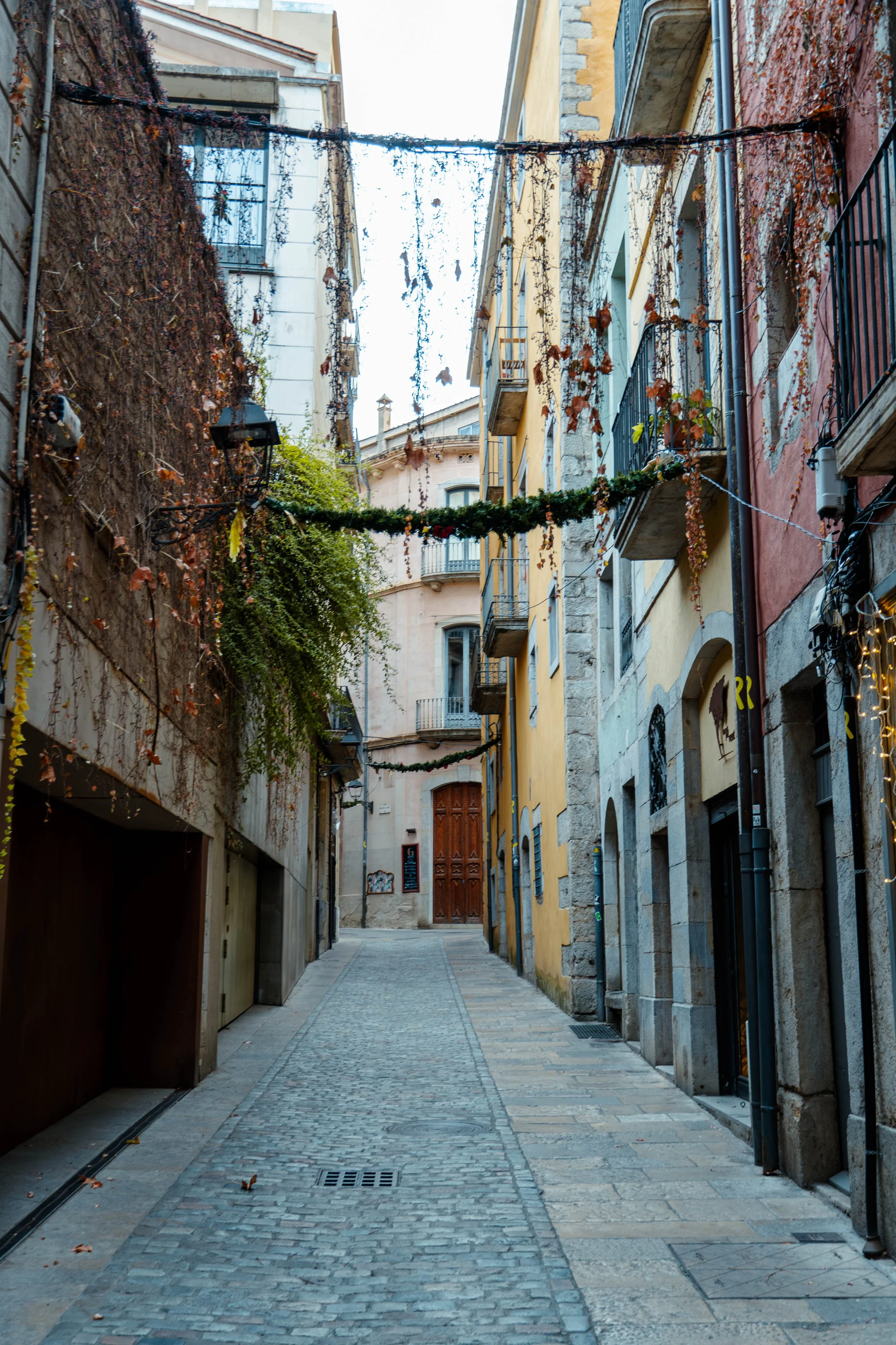 Catalonia-451.jpg