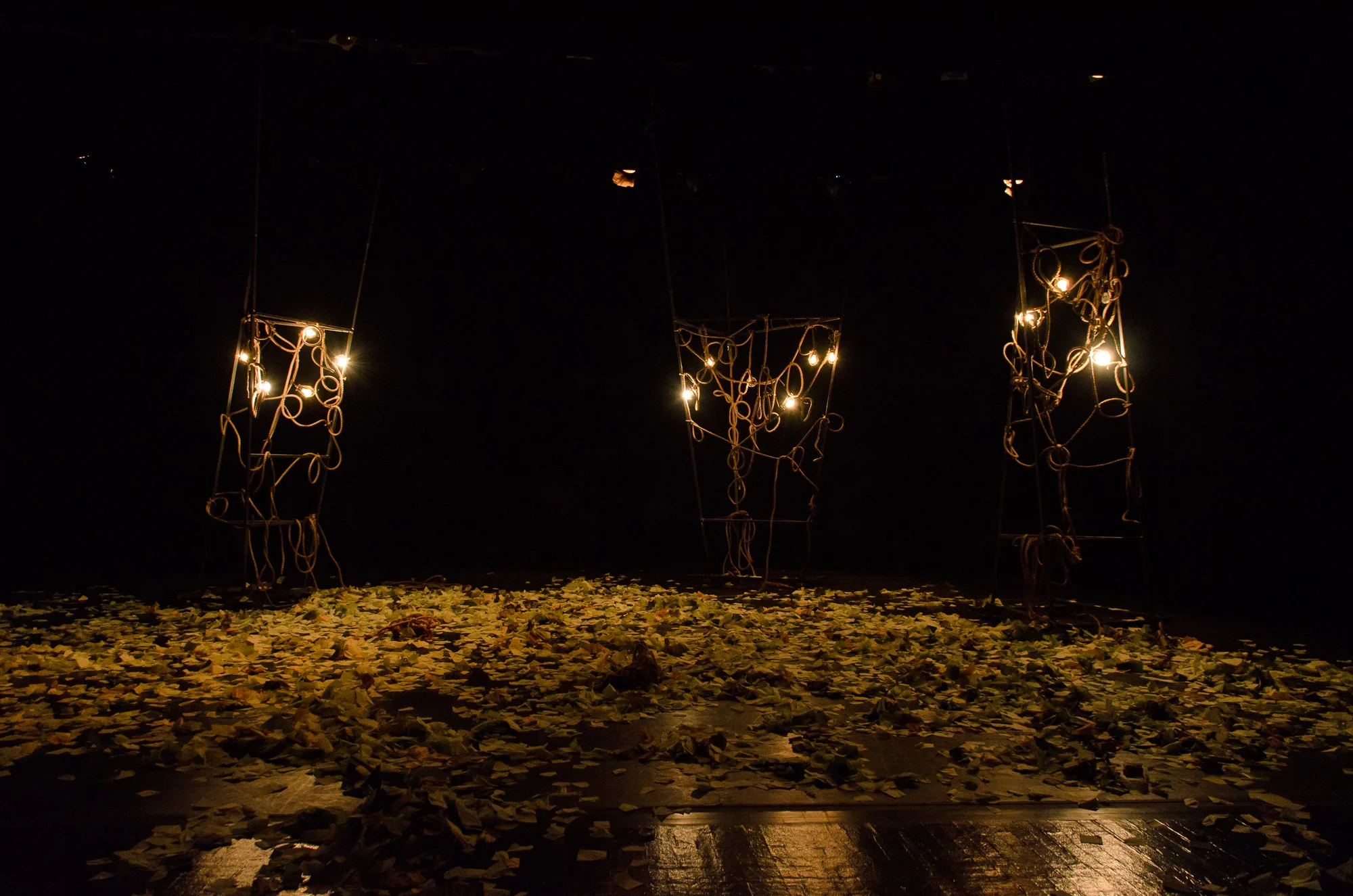 CCandD2014_Piece7_PhotobyAlexFabozzi-358.jpg