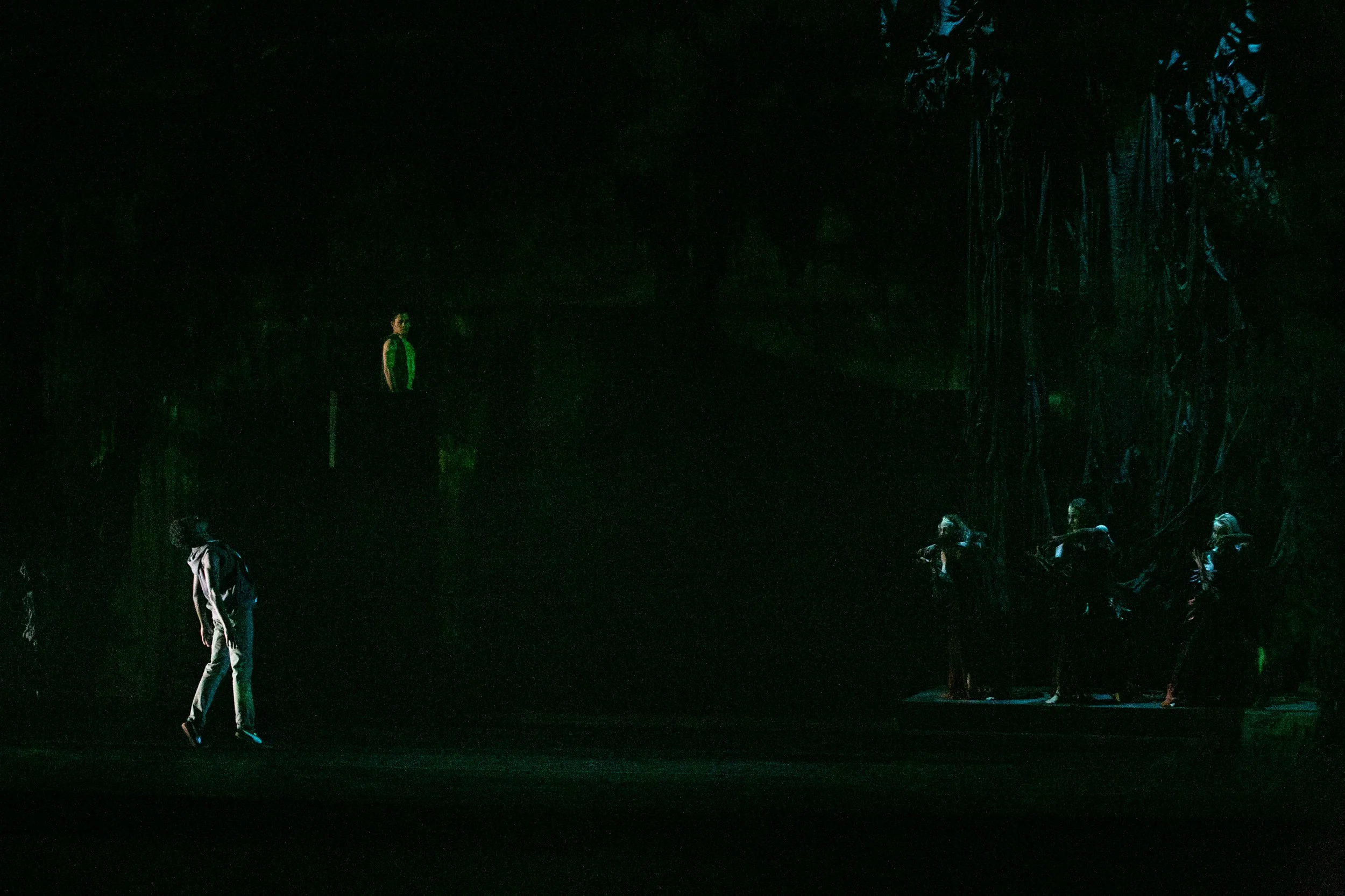 20230212_TheNightFalls_BallectCollective_Montclair_WhitneyBrowne-1385.jpg