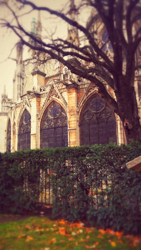 Cathédrale Notre Dame