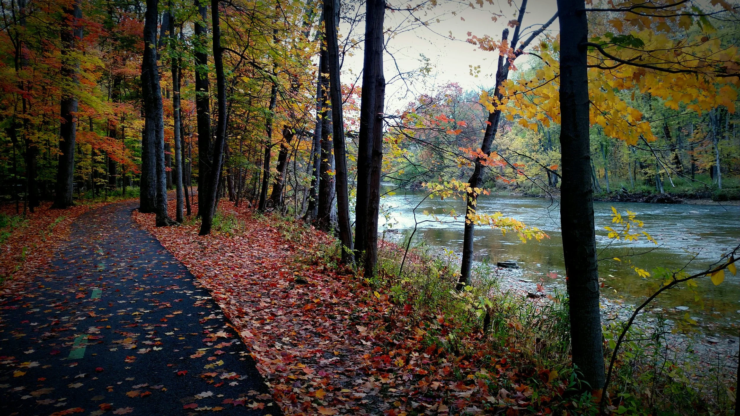 Rocky River in Cleveland Metropark