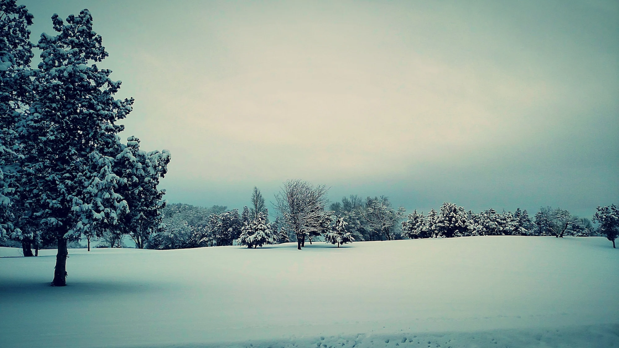 Socorro, NM