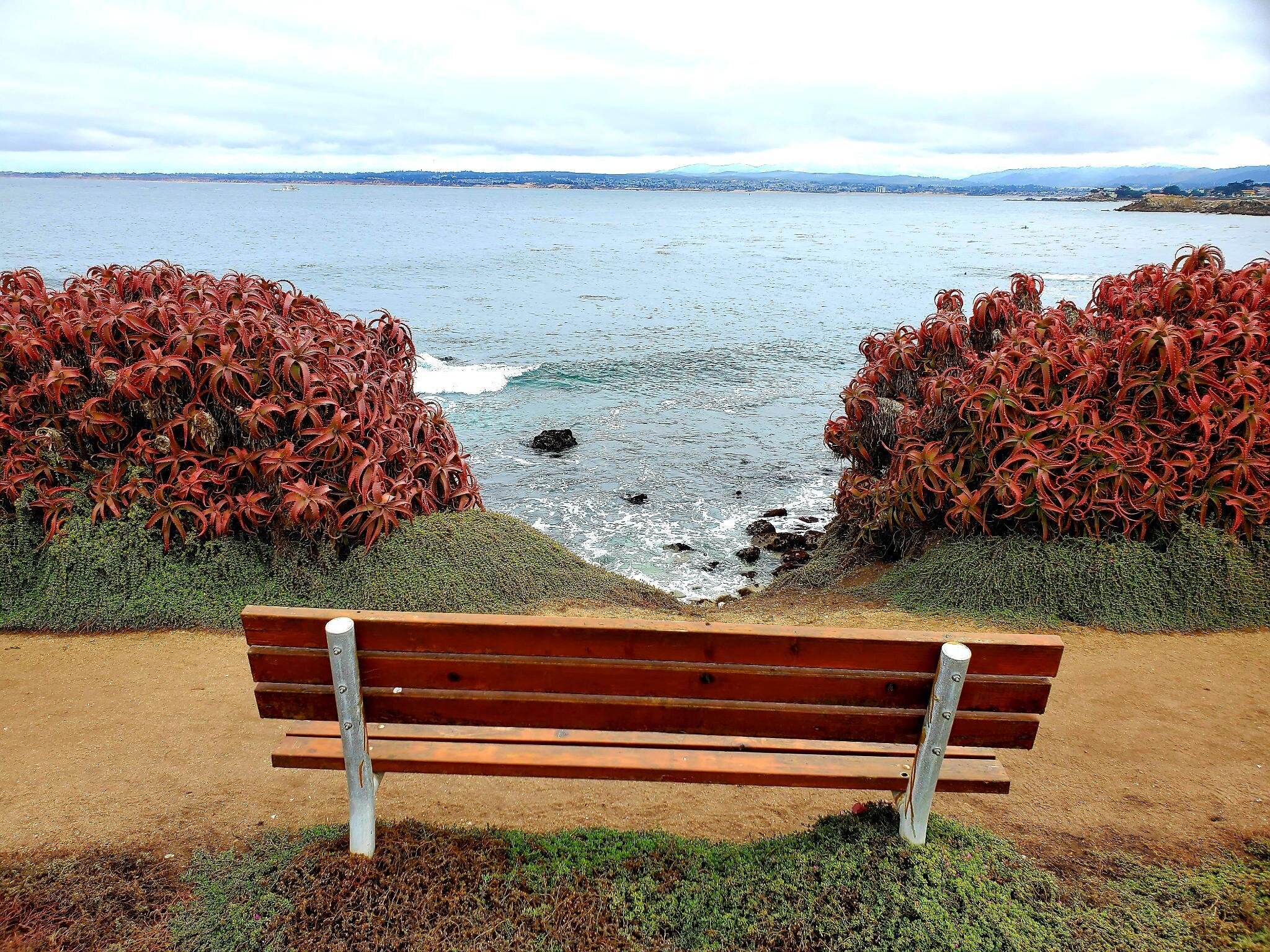 PG coast bench.jpeg