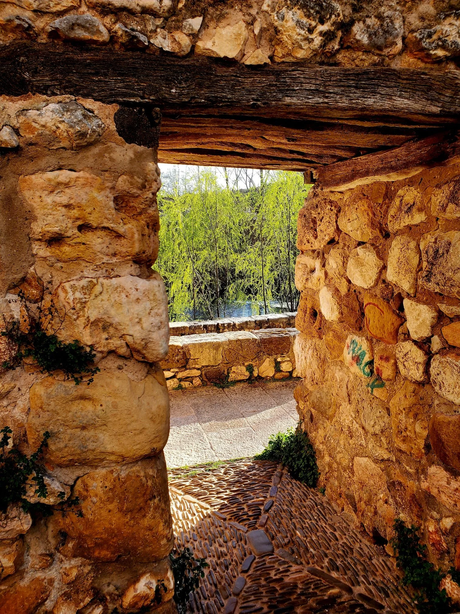 Covarrubias park.jpeg