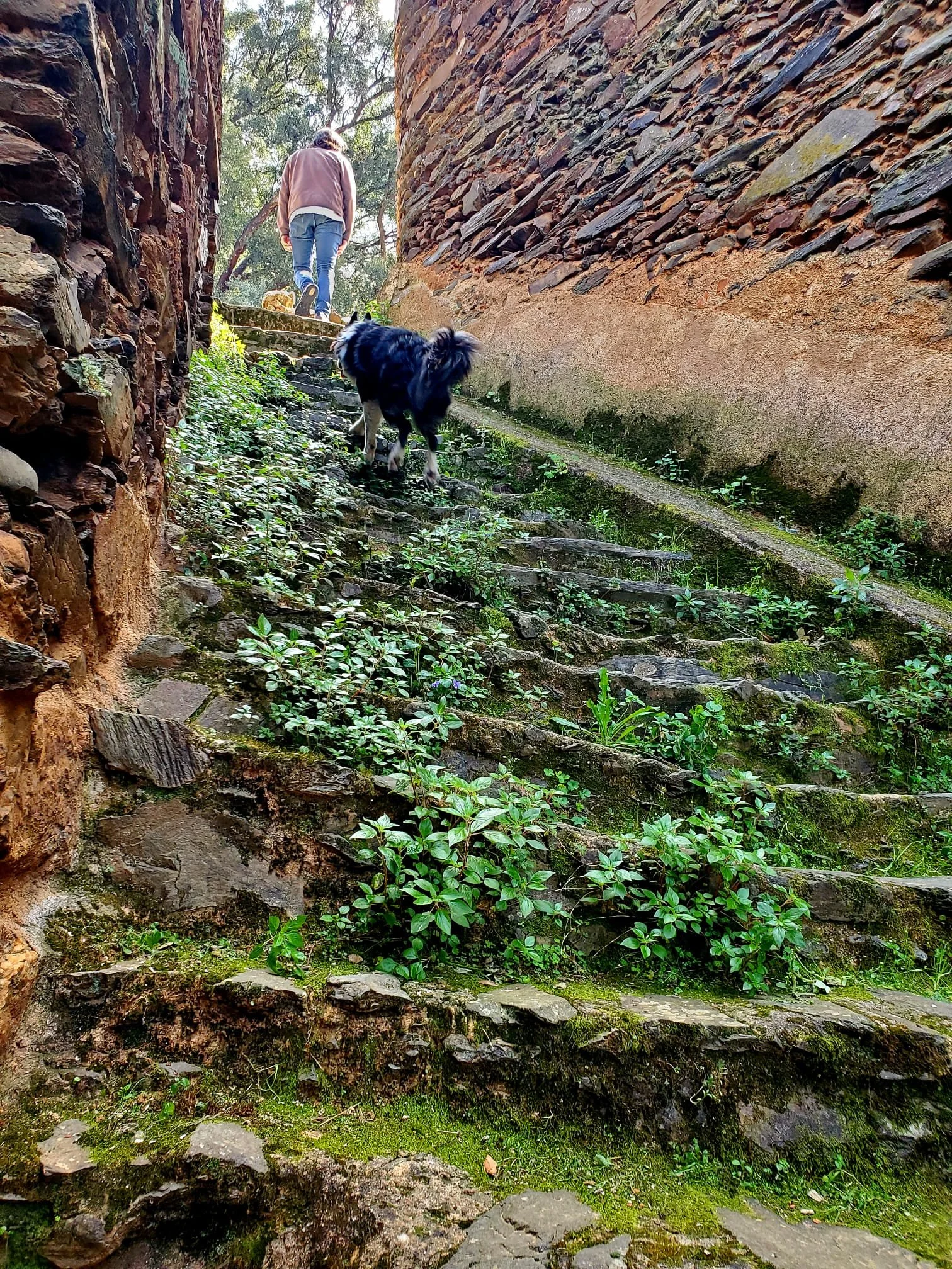 Robledillo de Gata, Spain3.jpeg