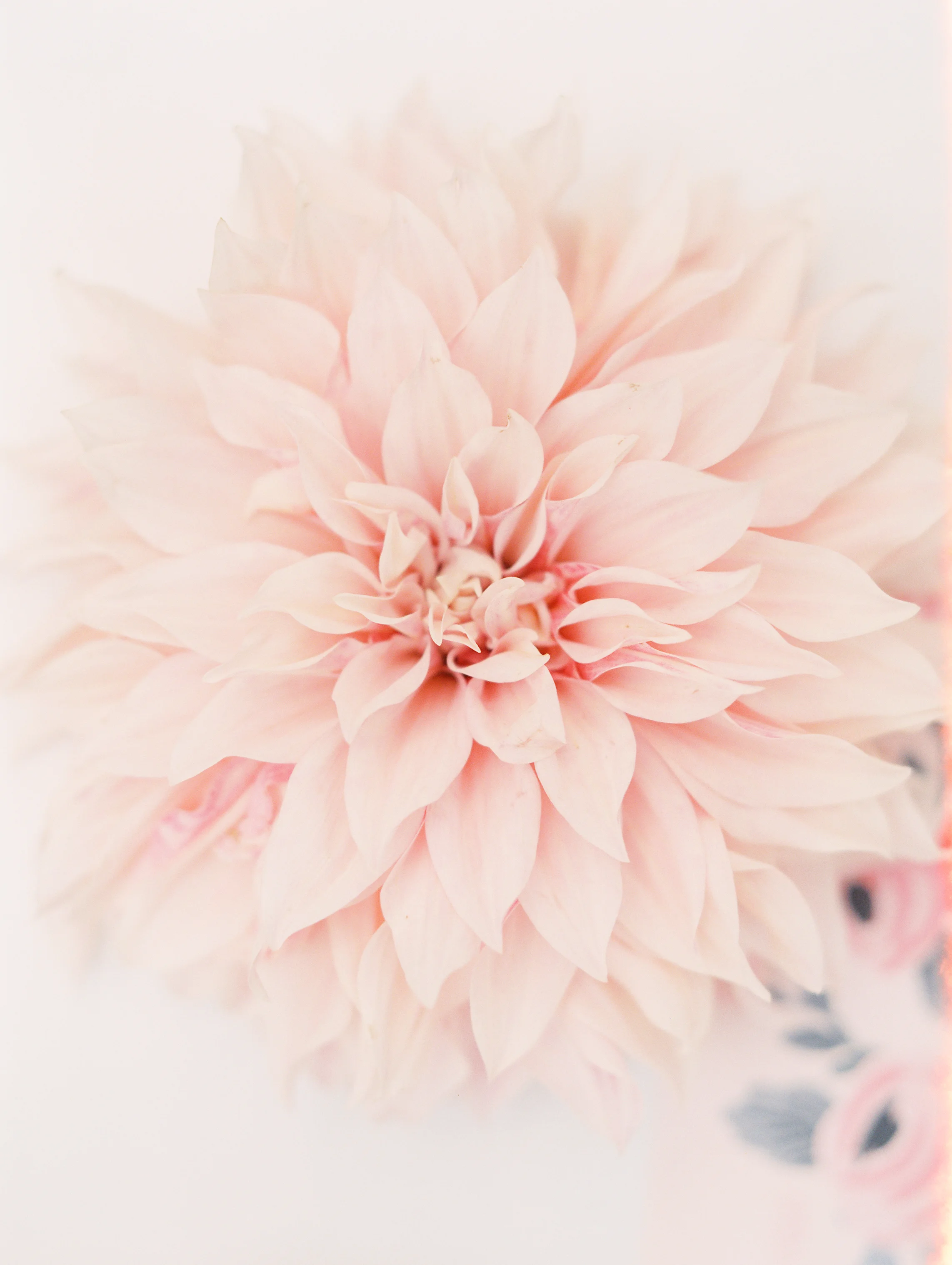 Zoller+Wedding+Details-38.jpg