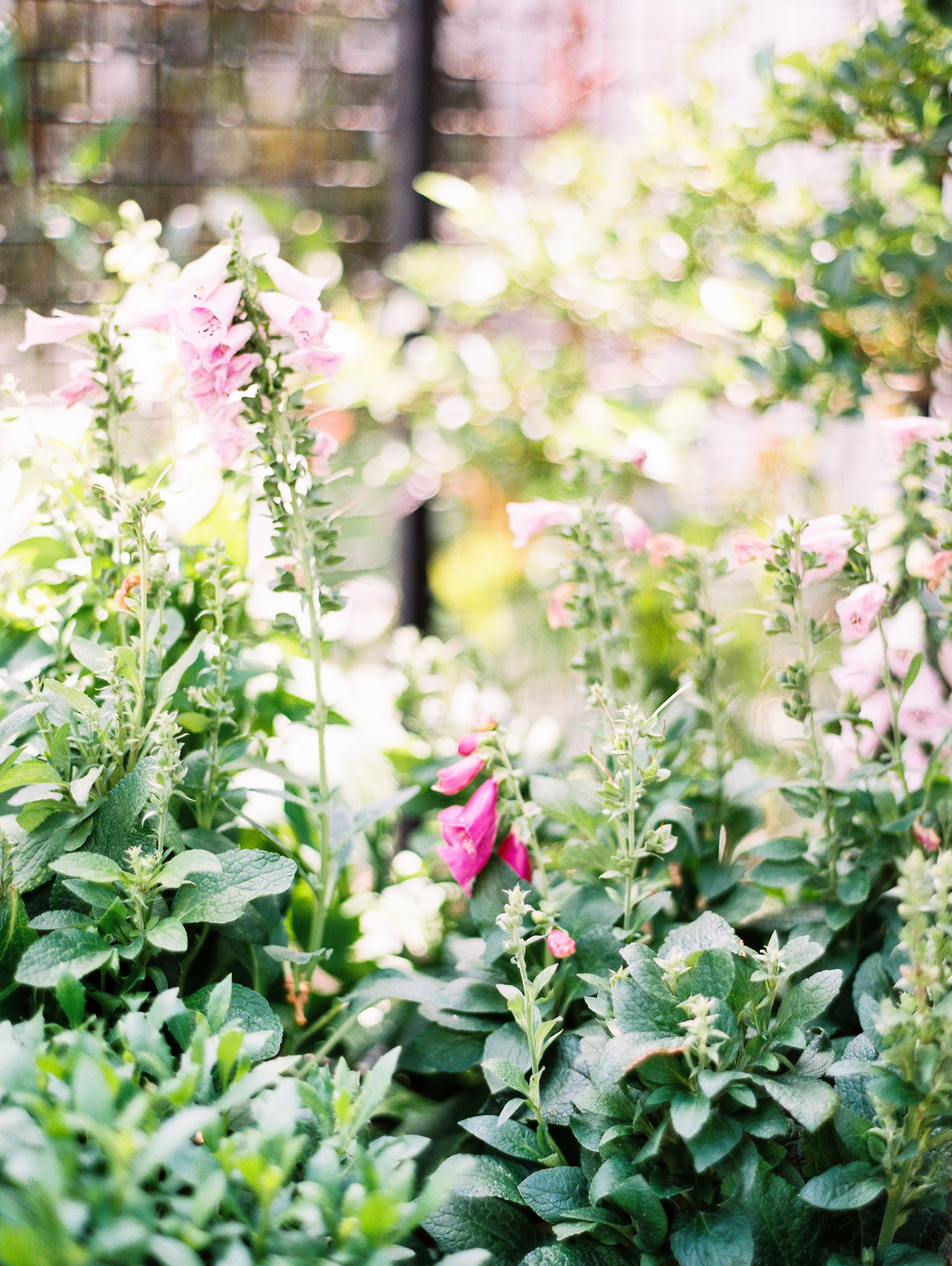 Magnolia+Market+Bloom+Workshop-48.jpg