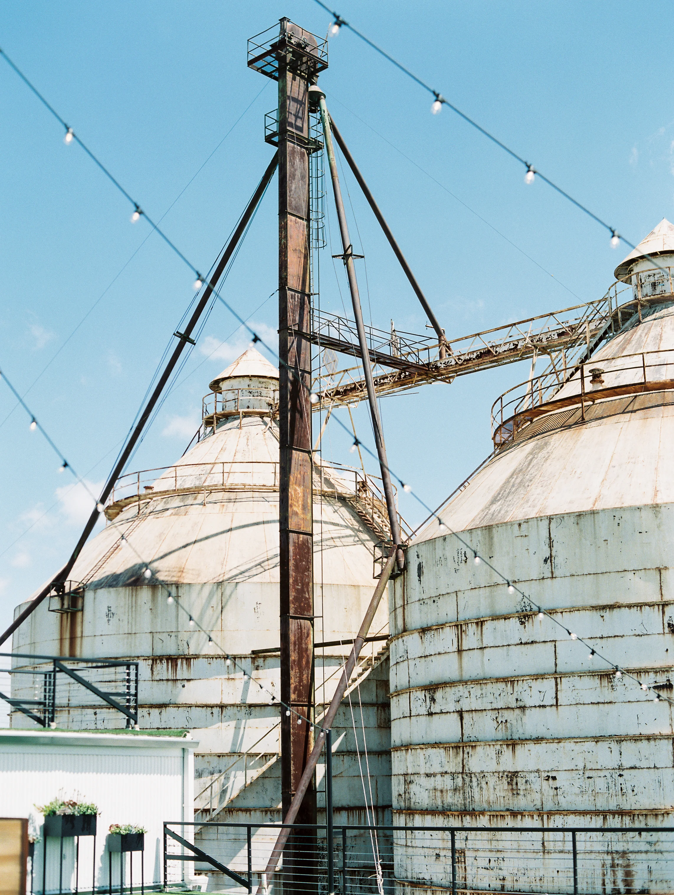 Magnolia+Market+Bloom+Workshop-27.jpg