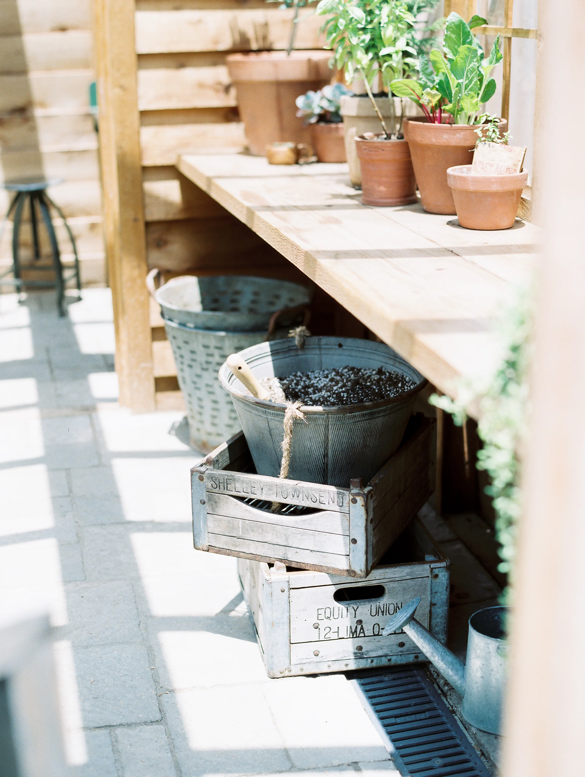 Magnolia+Market+Bloom+Workshop-40.jpg