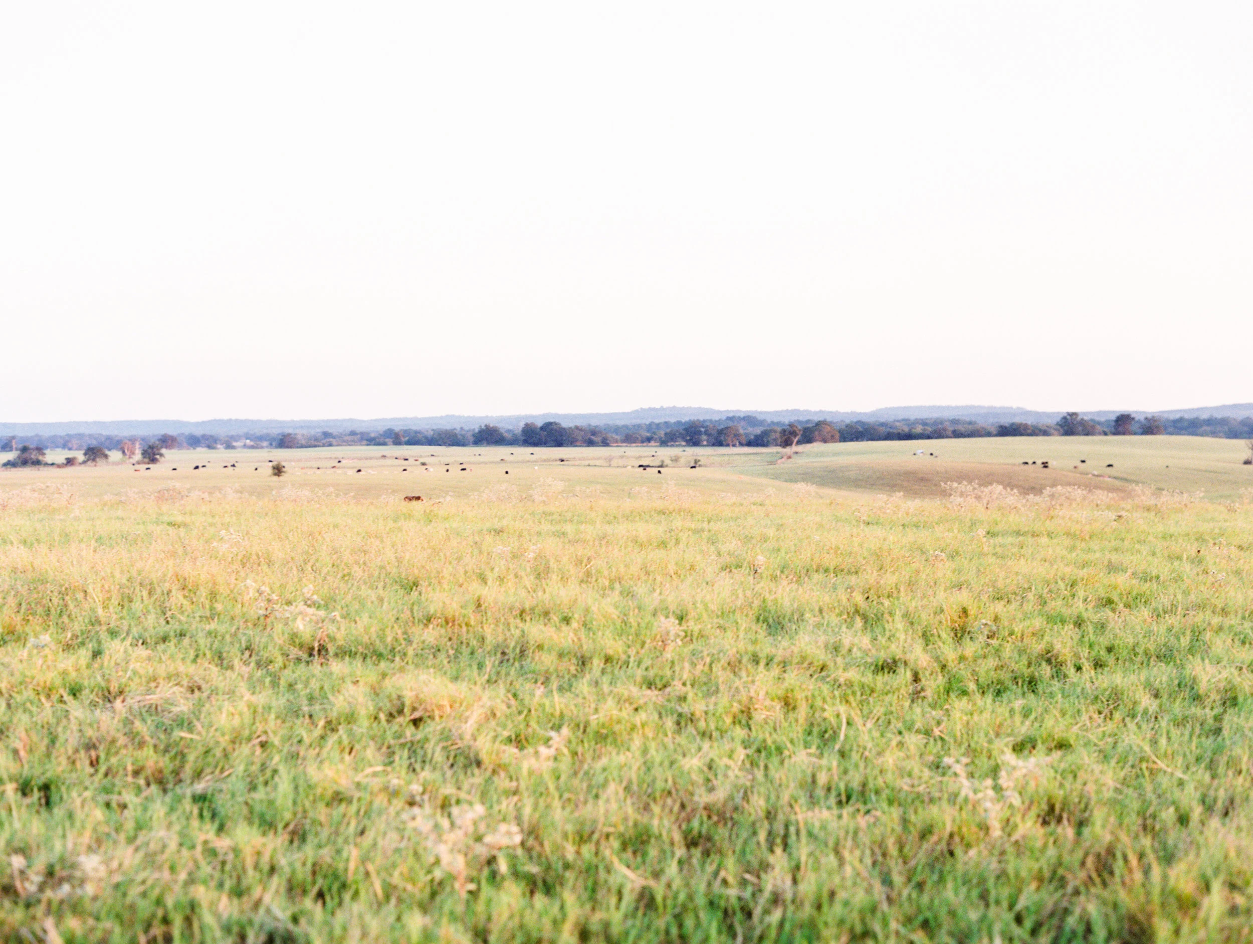 Lauren+John+Engaged+TX-13.jpg