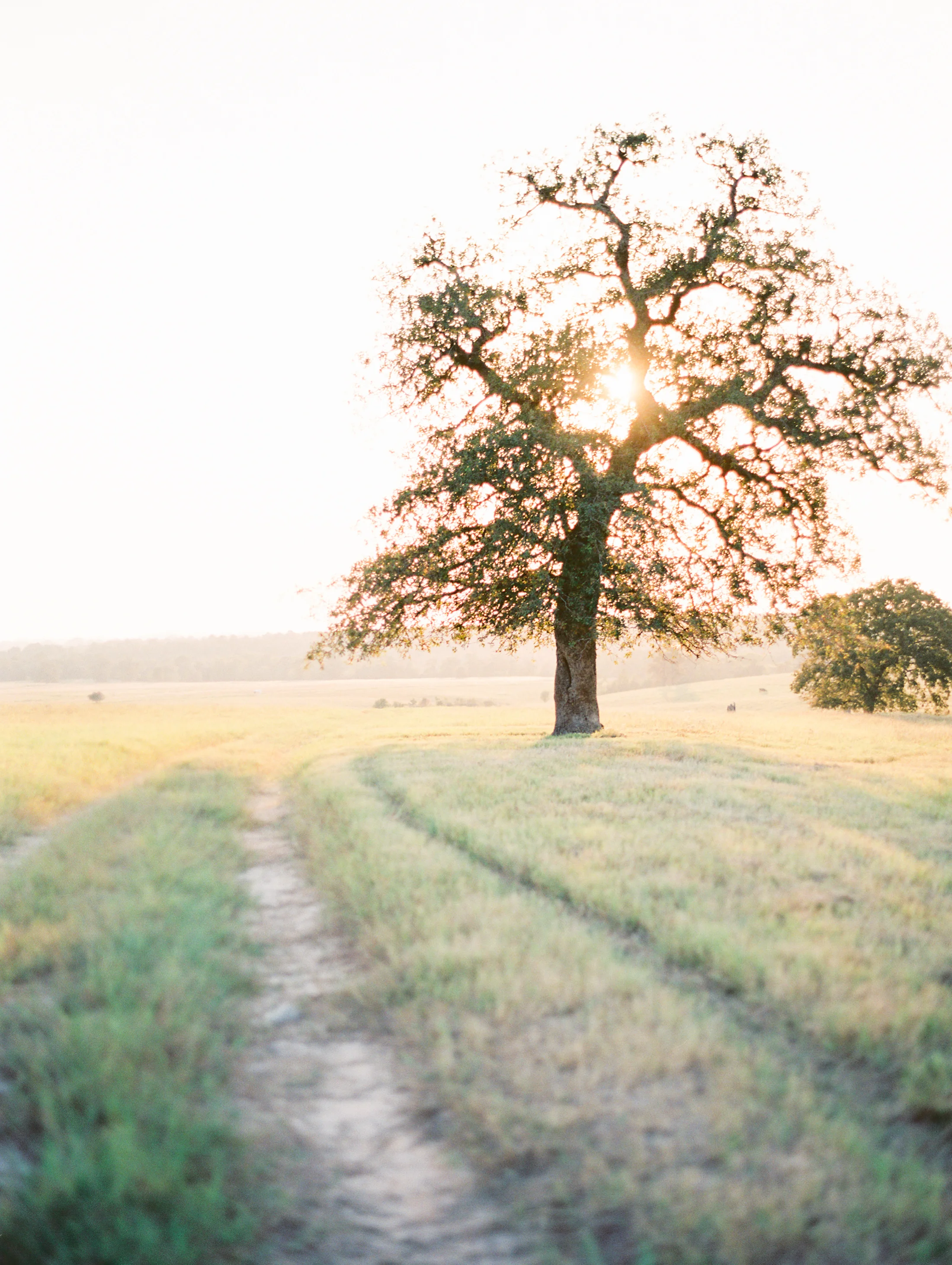 Lauren+John+Engaged+TX-99.jpg