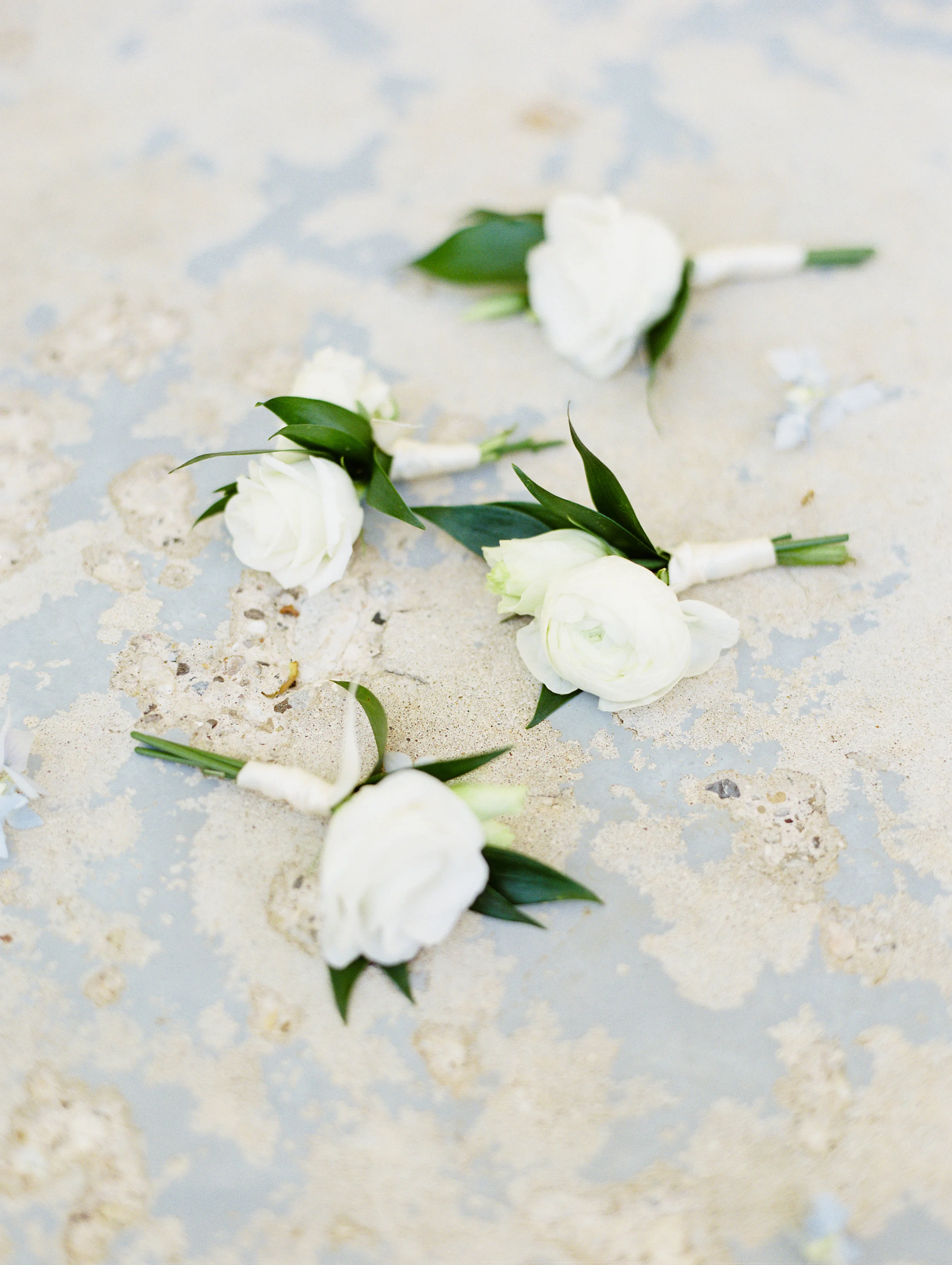 DeGuilio+Wedding+Detailsf-10.jpg