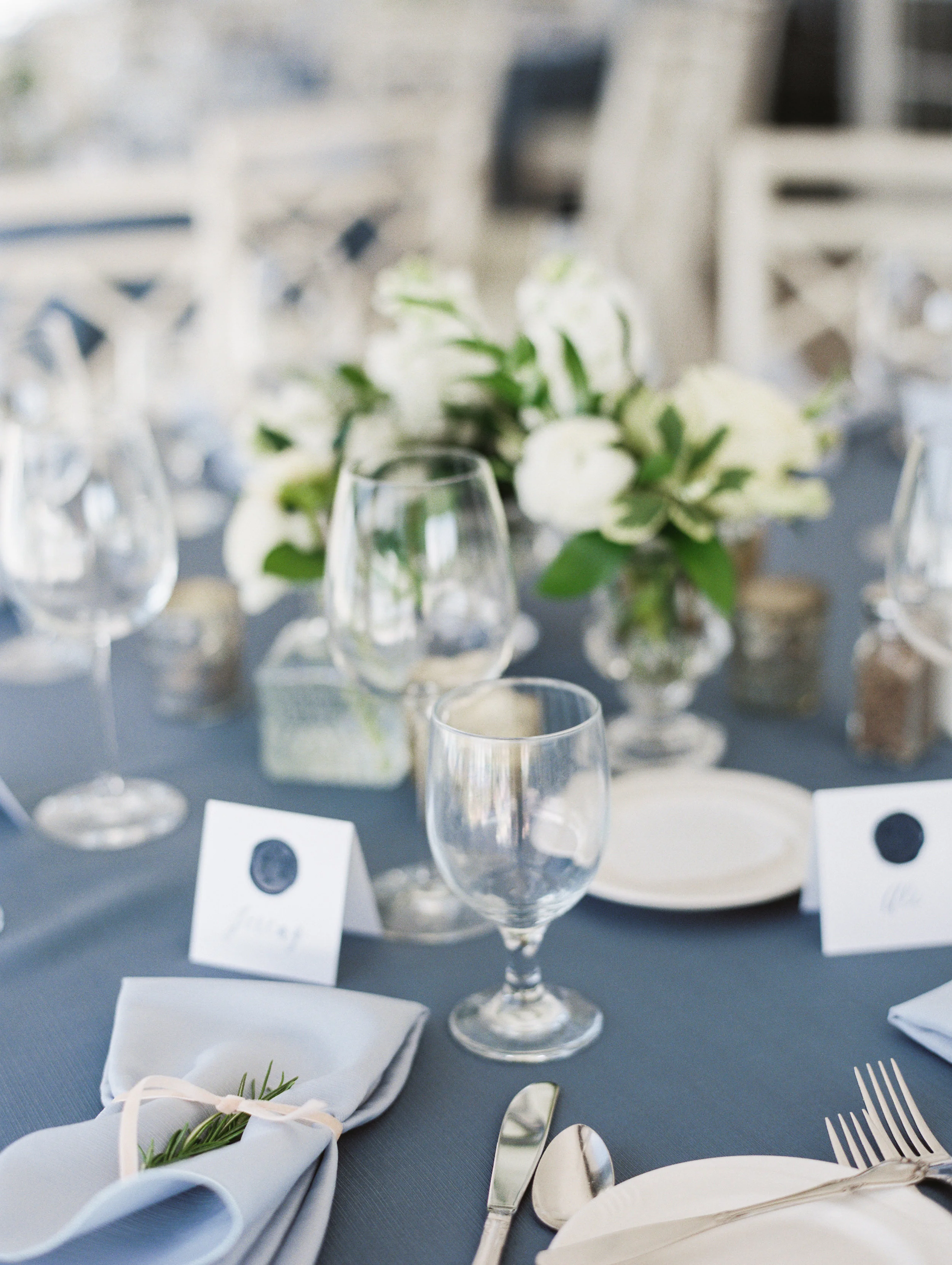 DeGuilio+Wedding+Reception+Detailsf-7.jpg