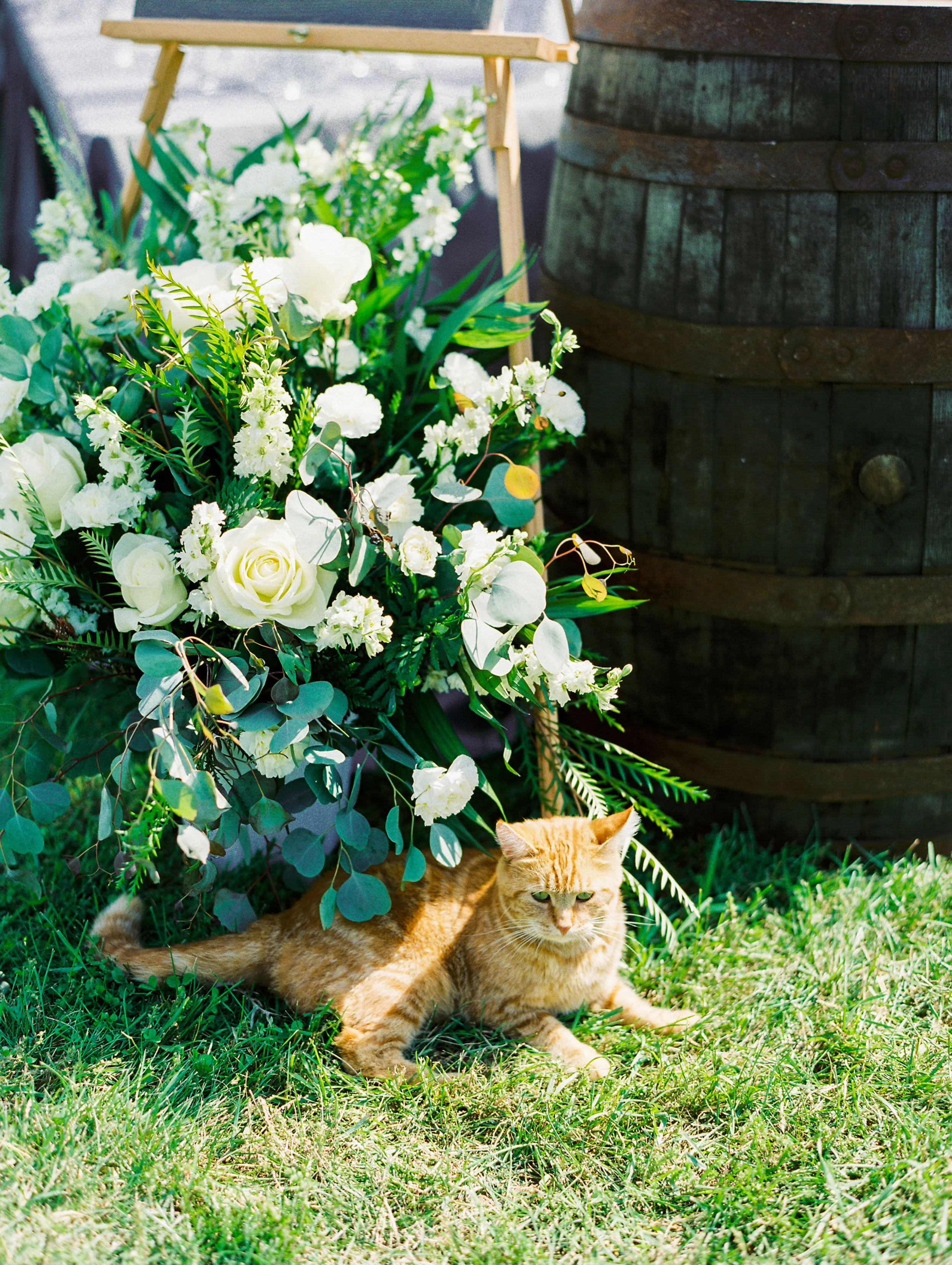 Cupp+Wedding+Bride+Groom-91.jpg