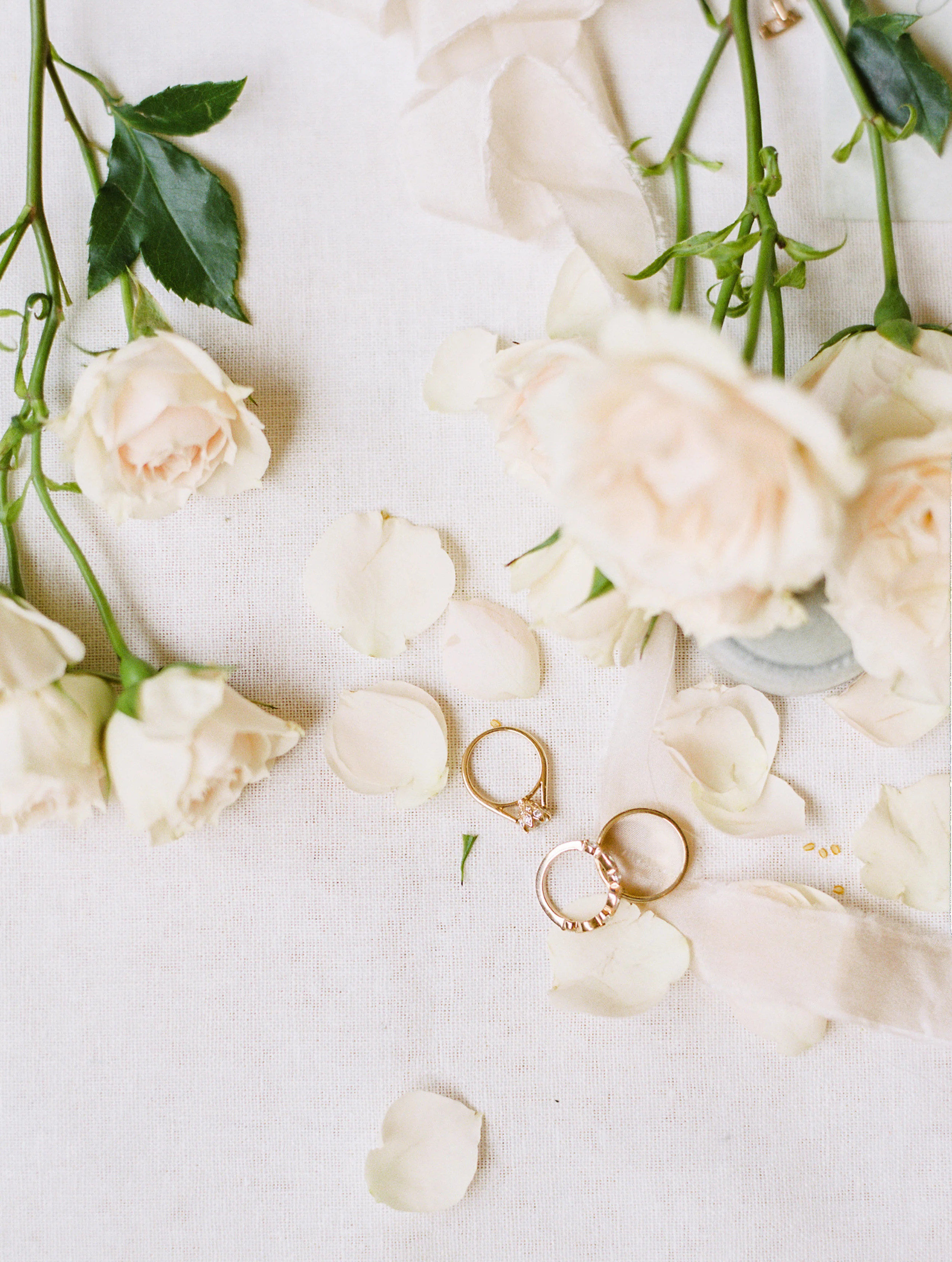 Steiner+Wedding+Details-57.jpg