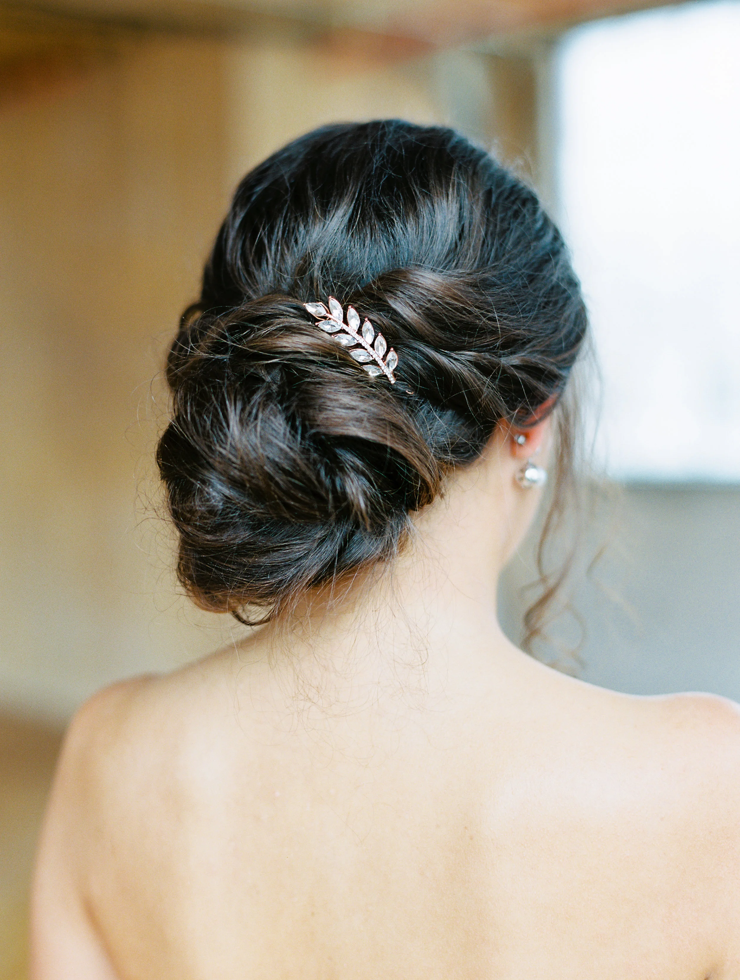 Steiner+Wedding+Bride+Bridesmaids-56.jpg