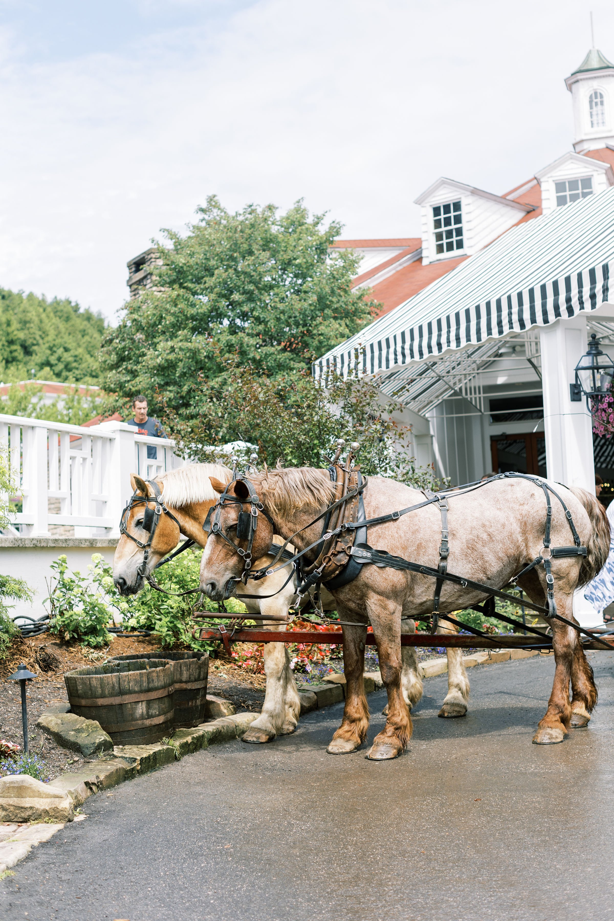 Elizabeth+Stephen+Carriage-2.jpg