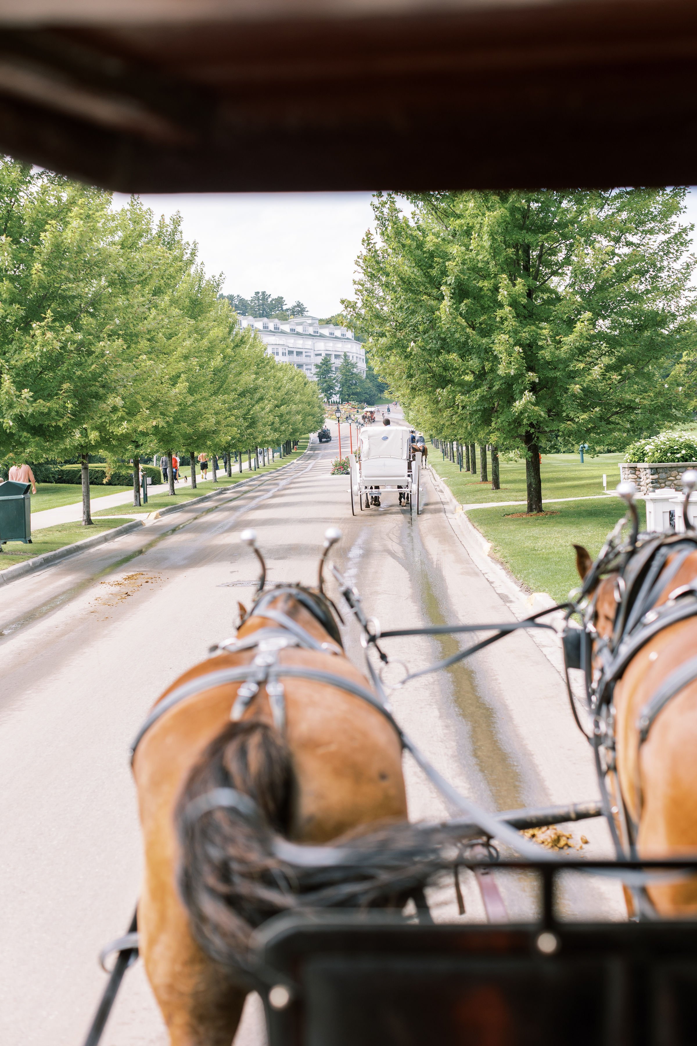 Elizabeth+Stephen+Carriage-41.jpg