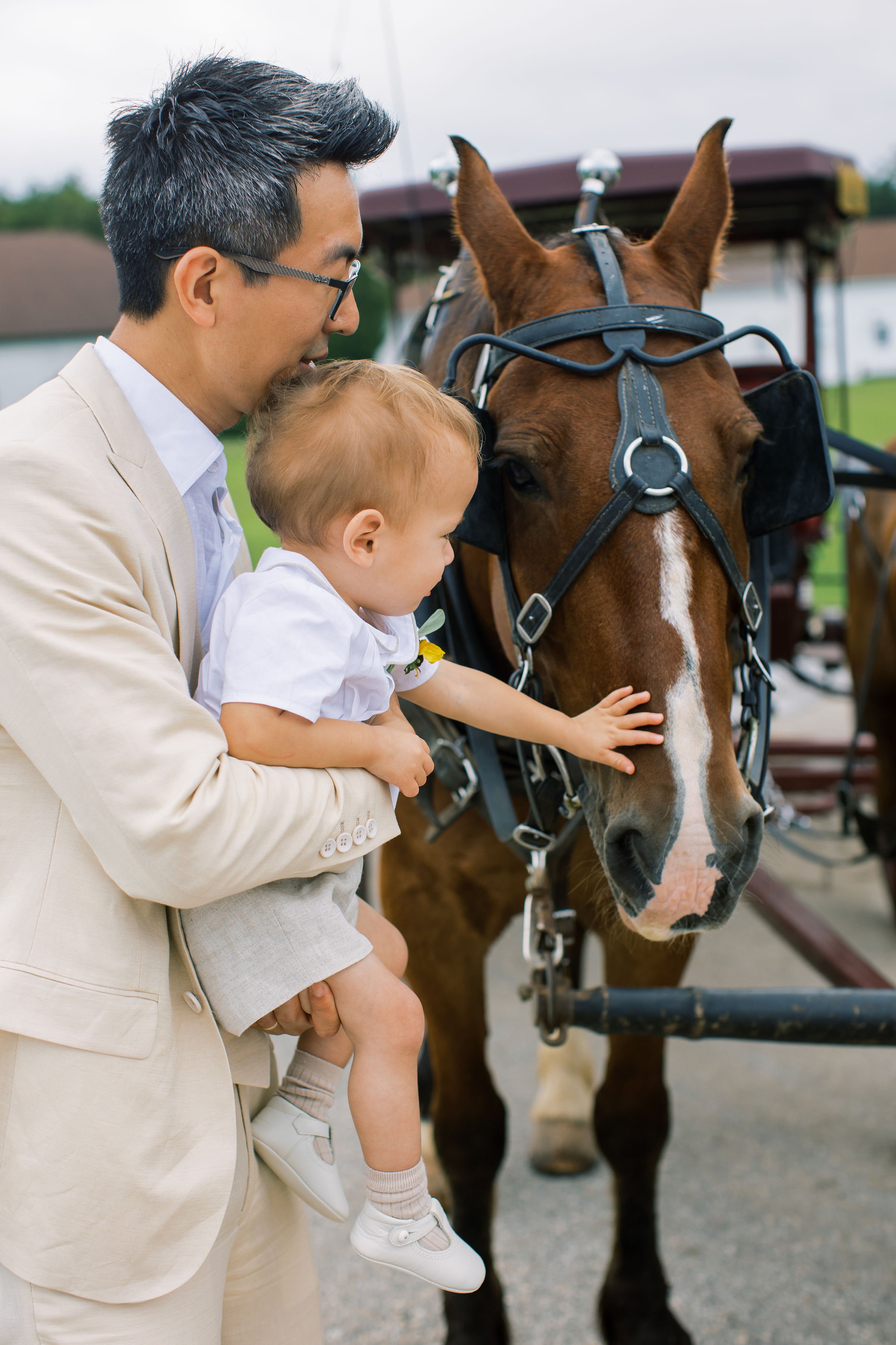 Elizabeth+Stephen+Carriage-139.jpg