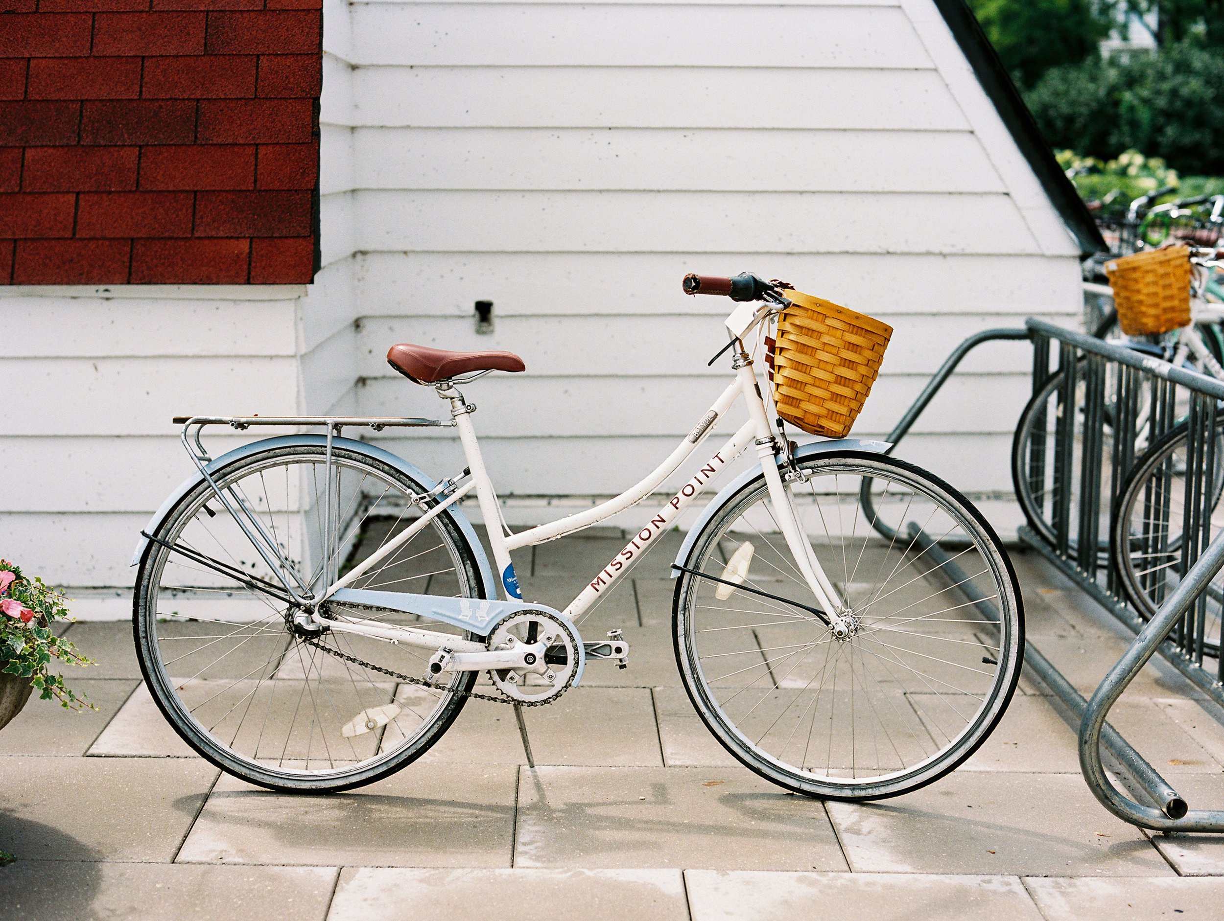 Elizabeth+Stephen+Carriage-174.jpg