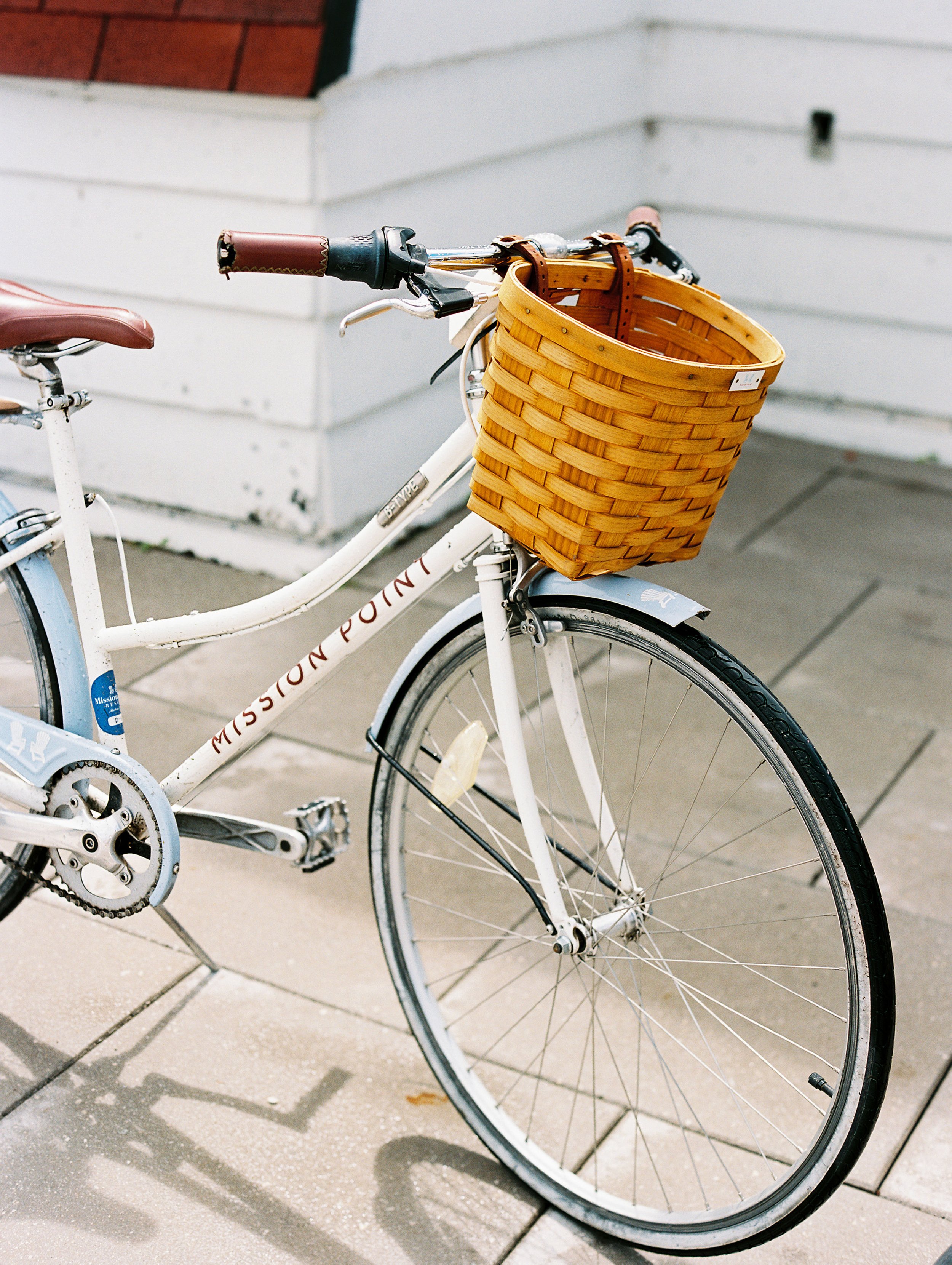 Elizabeth+Stephen+Carriage-175.jpg