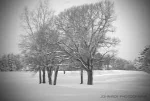 john_roy_091206_2225-edit