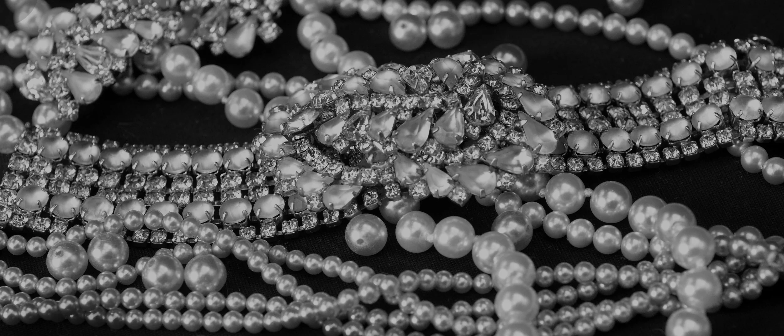 DSC_0024 - cropped_overlay2.jpg