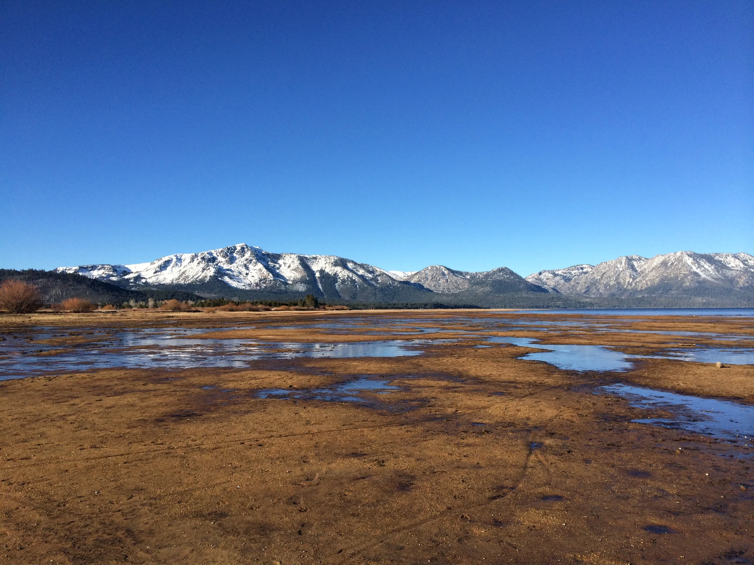 How do we measure the connection between businesses, people, and the environment?