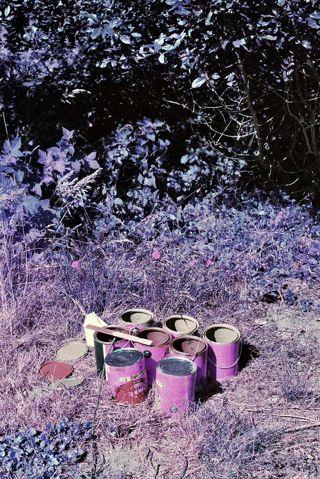 ---_0050.jpg