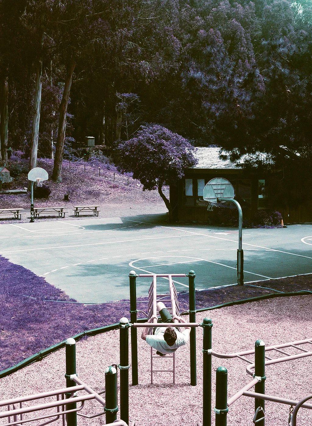57520012.jpg