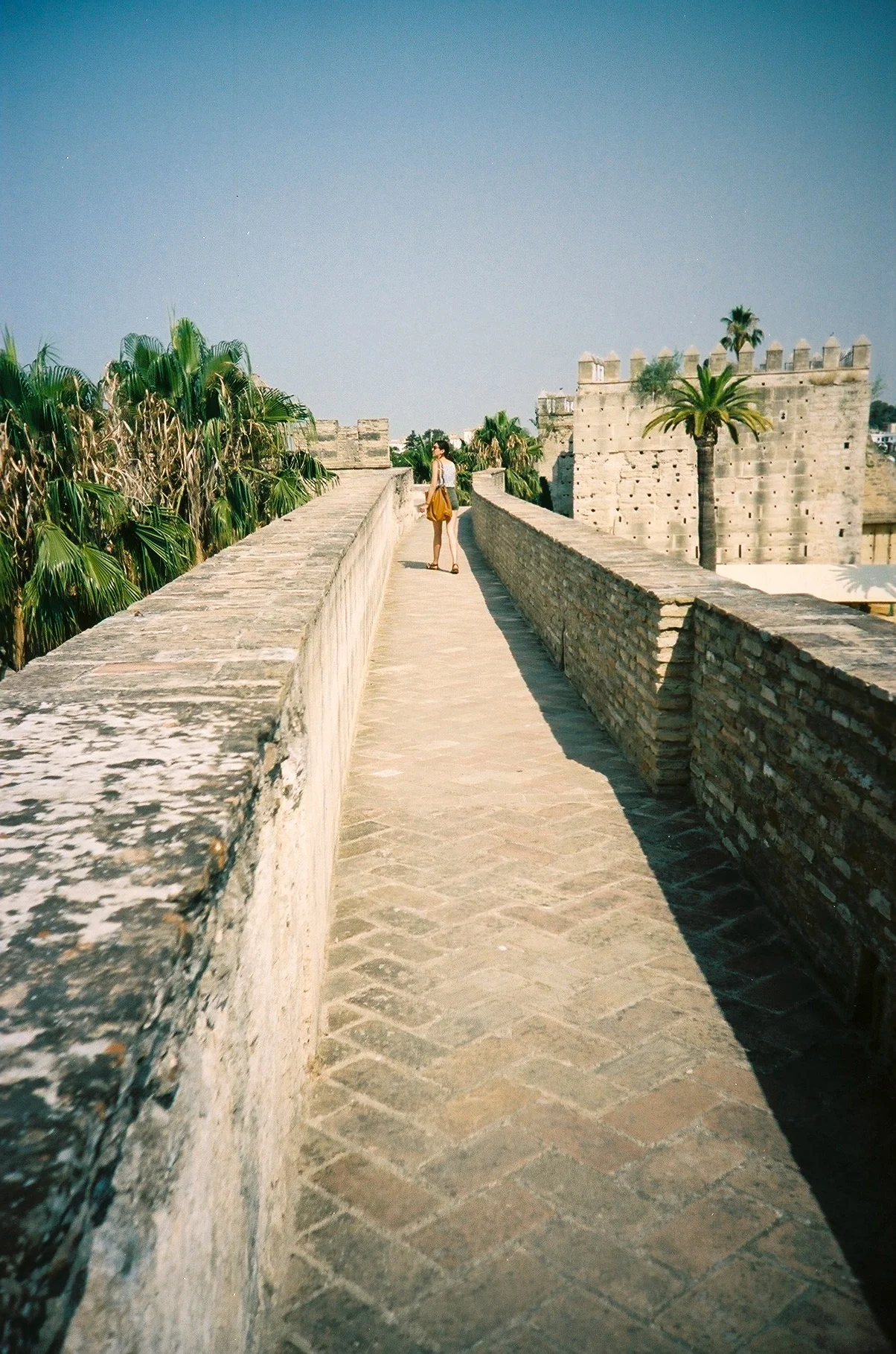 000010-3.JPG