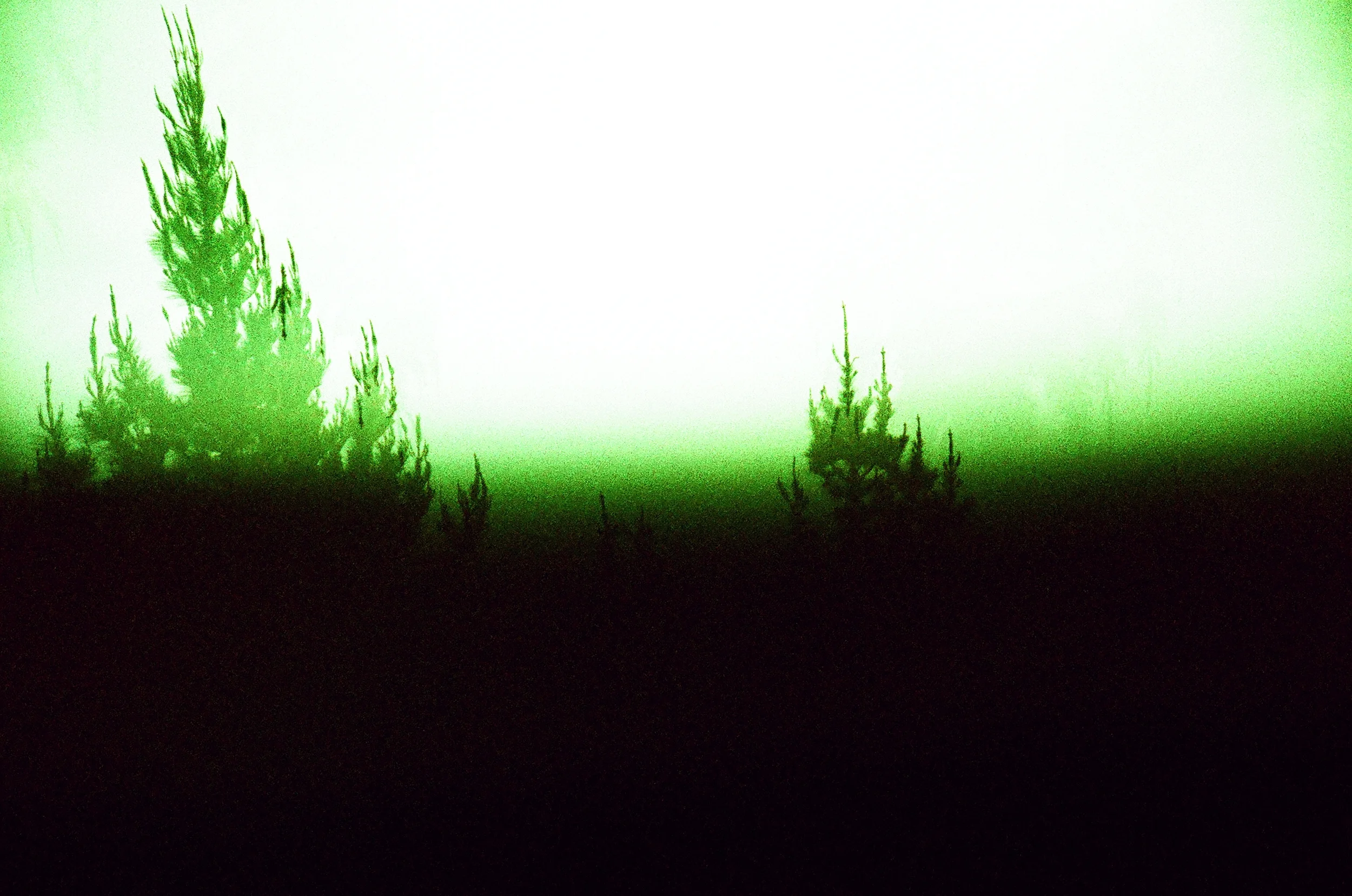 06480015.JPG