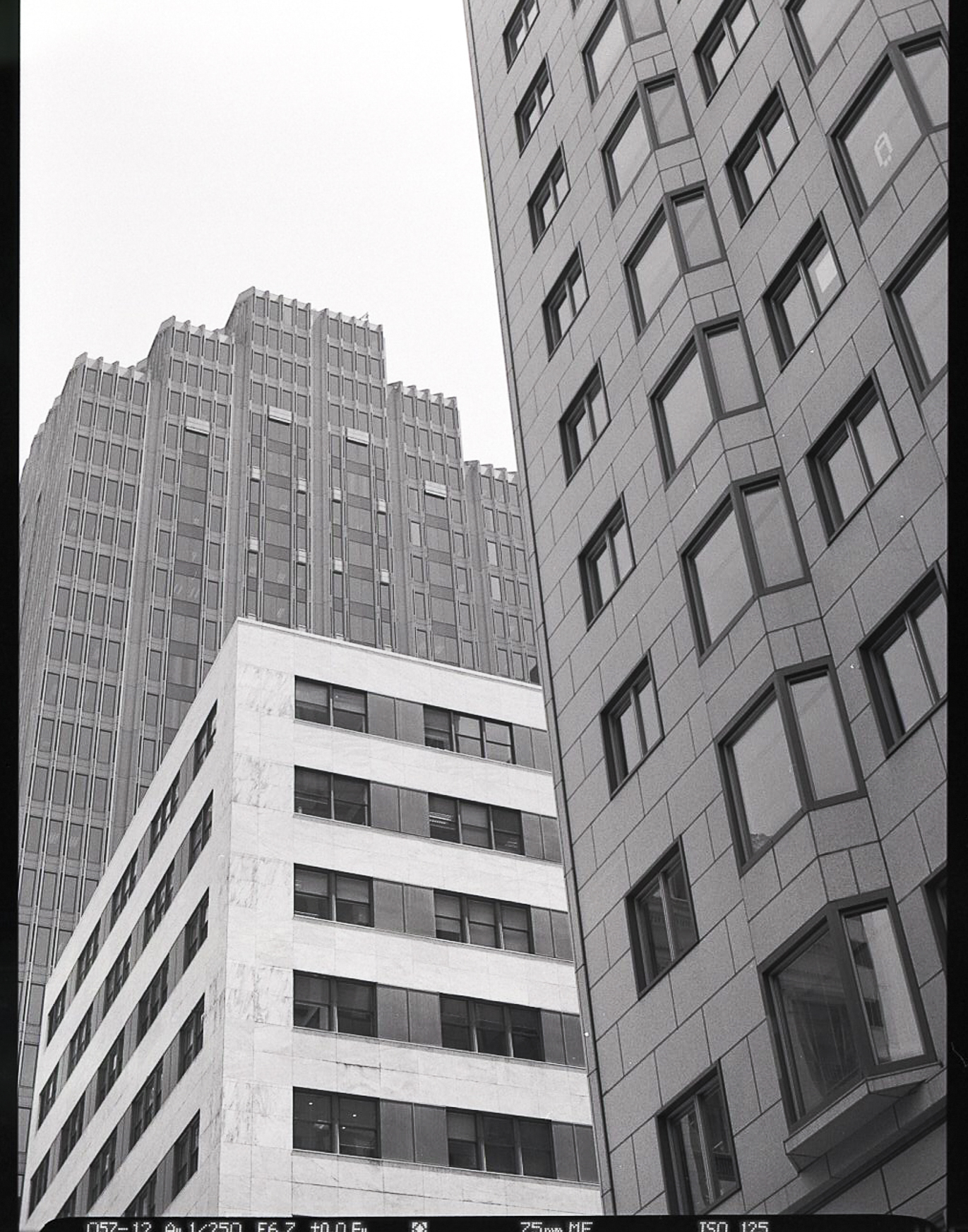 sf_warped-12.jpg