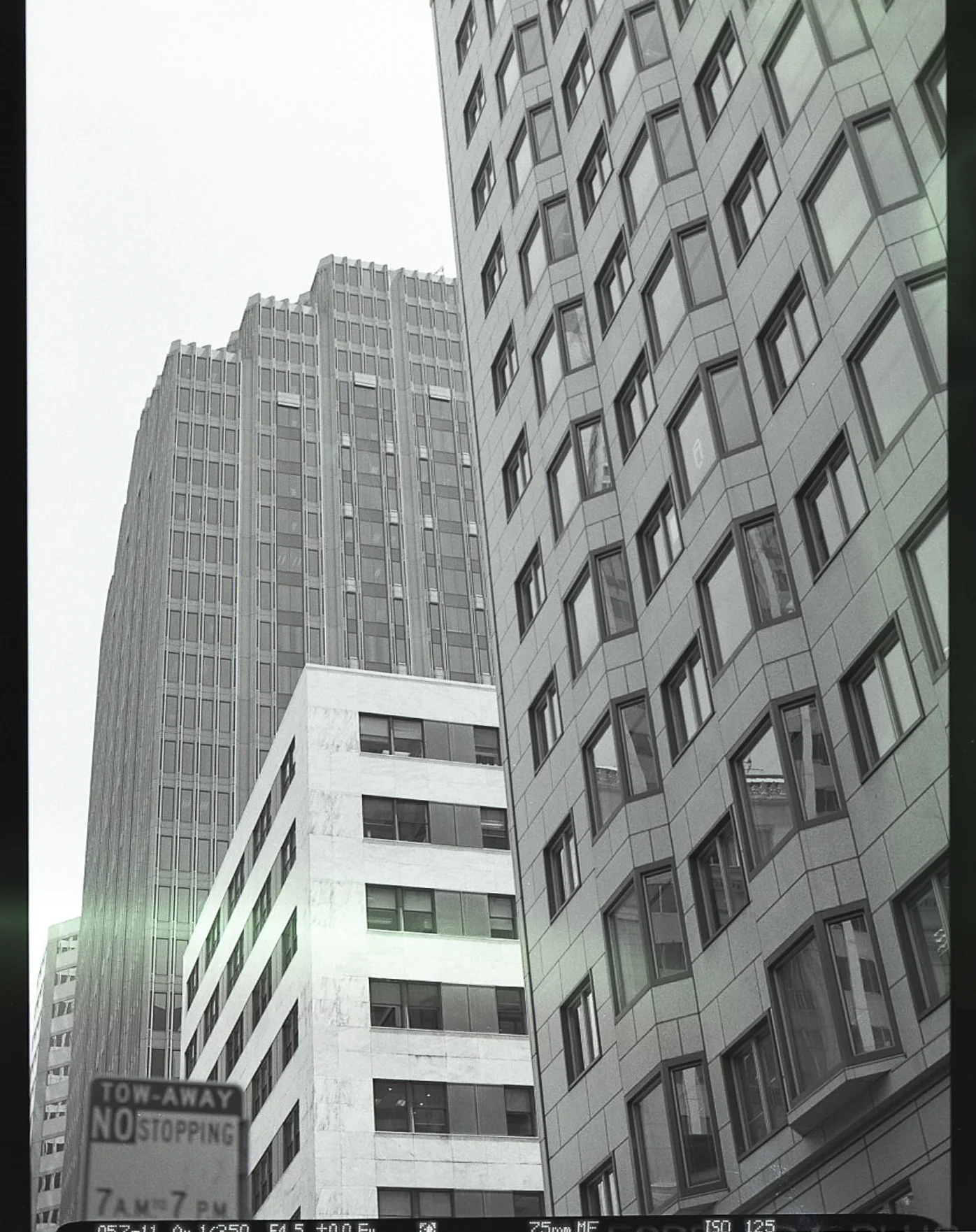 sf_warped-11.jpg