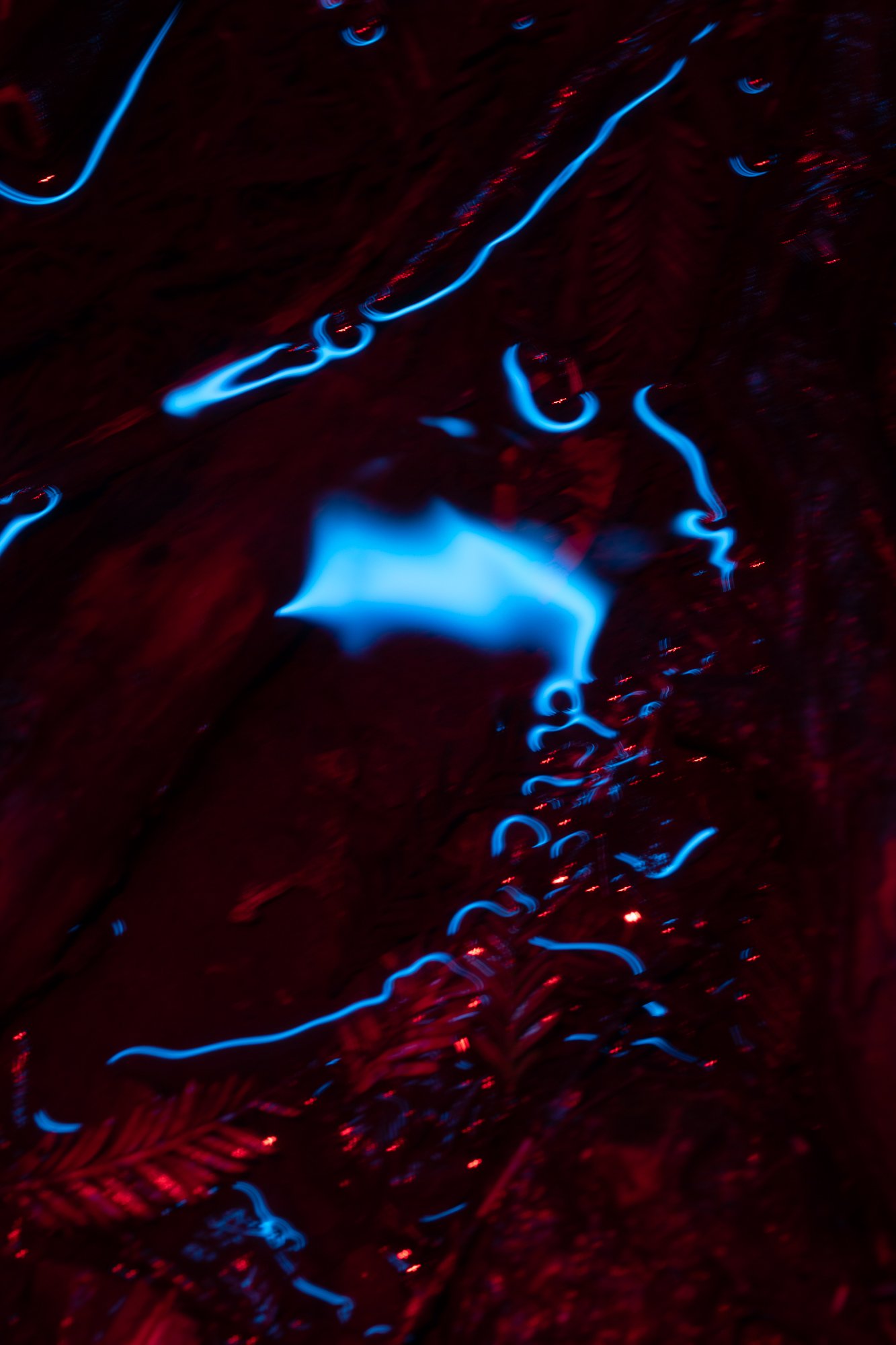 everything_in_color-10.jpg