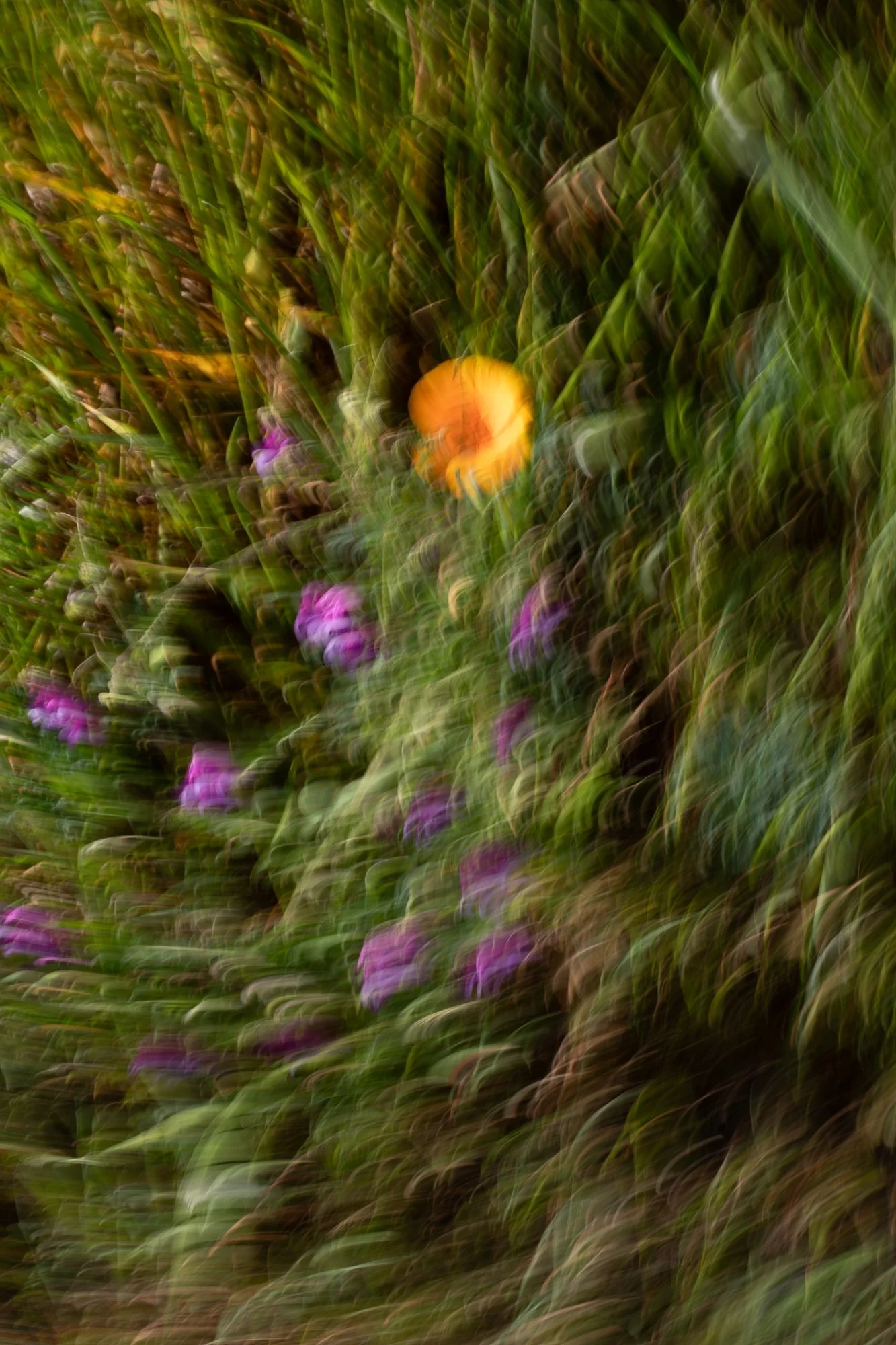 everything_in_color-5.jpg