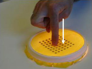 Figure 1: Single-Point deformation gesture.
