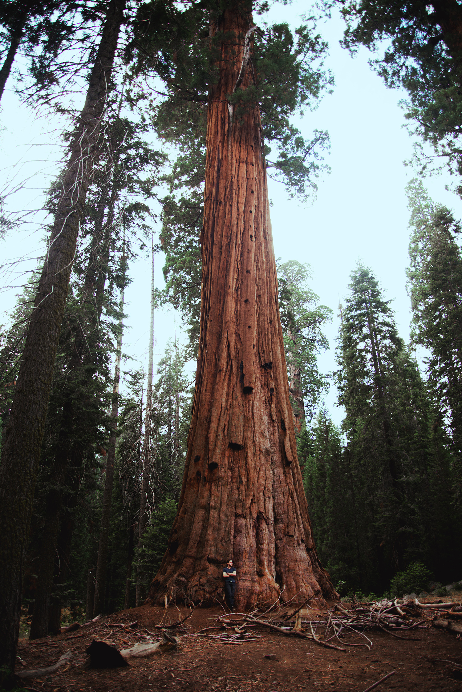 Sequoia National Park. A breathtaking place.