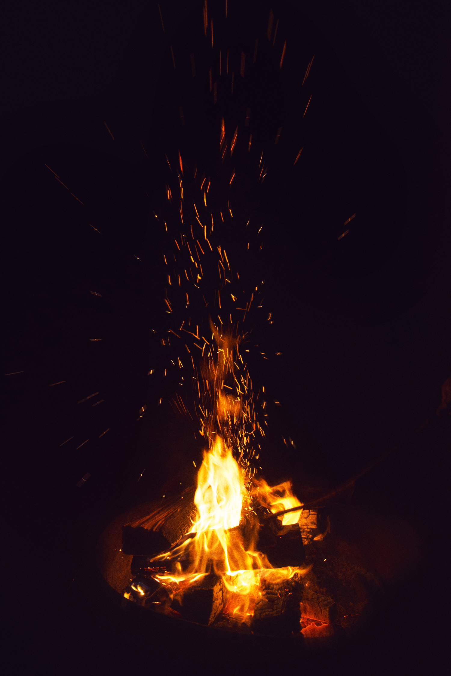 DSC_1271_edit_w.jpg
