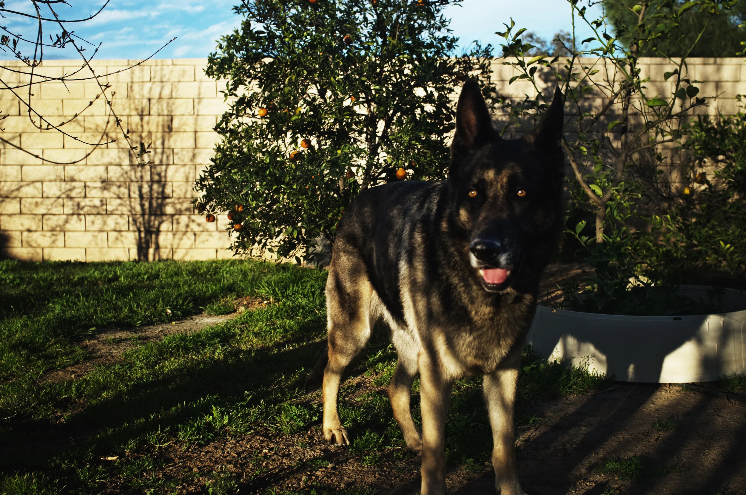 DSCF9184_edit.jpg