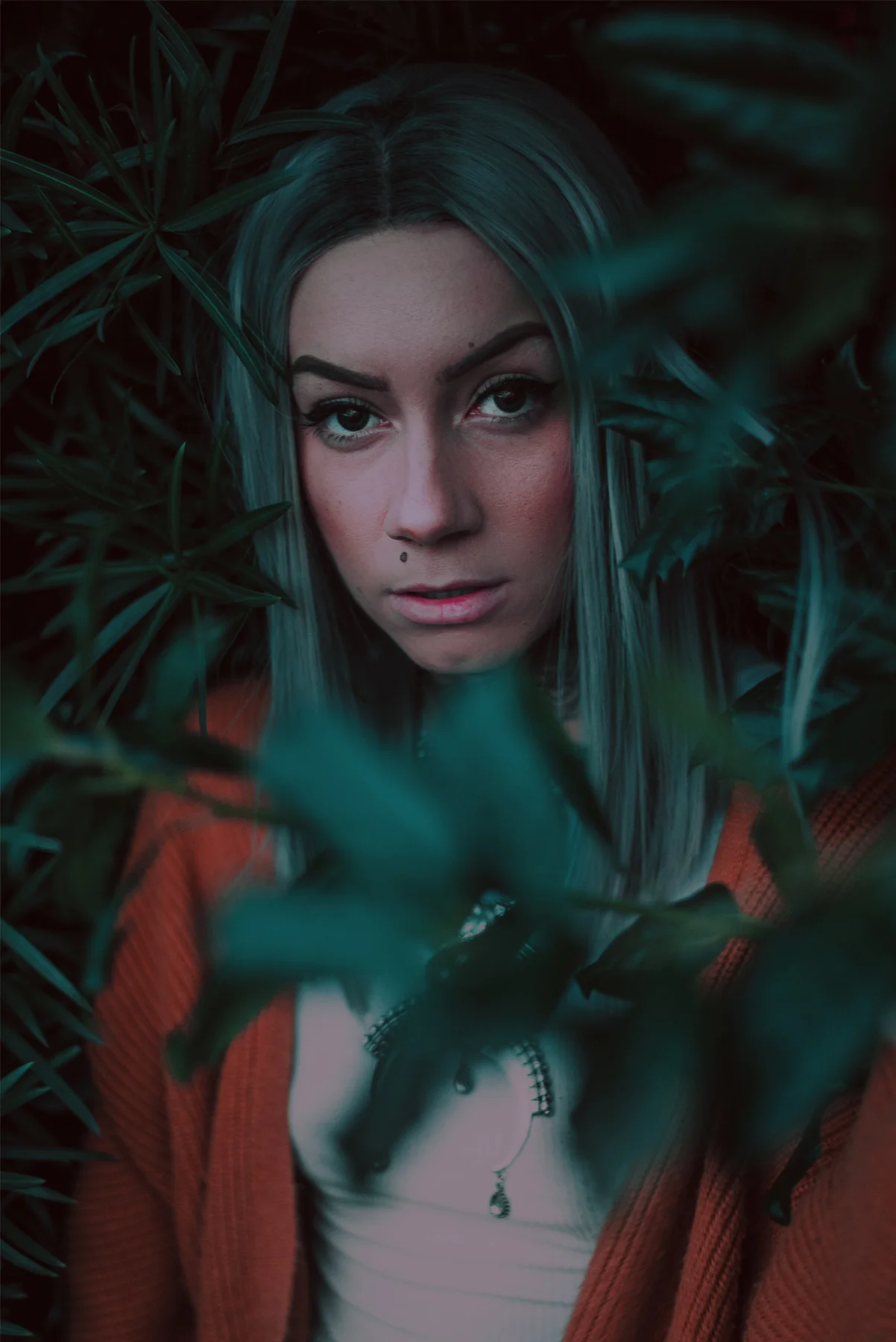 DSC_5277_edit_w.jpg